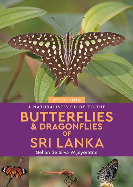 Cover: 9781912081899 | A Naturalist's Guide to the Butterflies &amp; Dragonflies of Sri Lanka