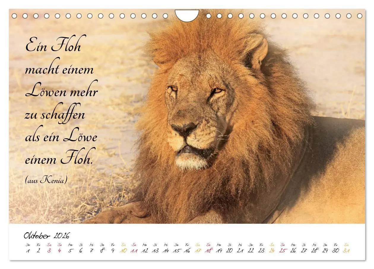 Bild: 9783457861899 | AFRIKA - Kontinent der Poesie (Wandkalender 2026 DIN A4 quer),...