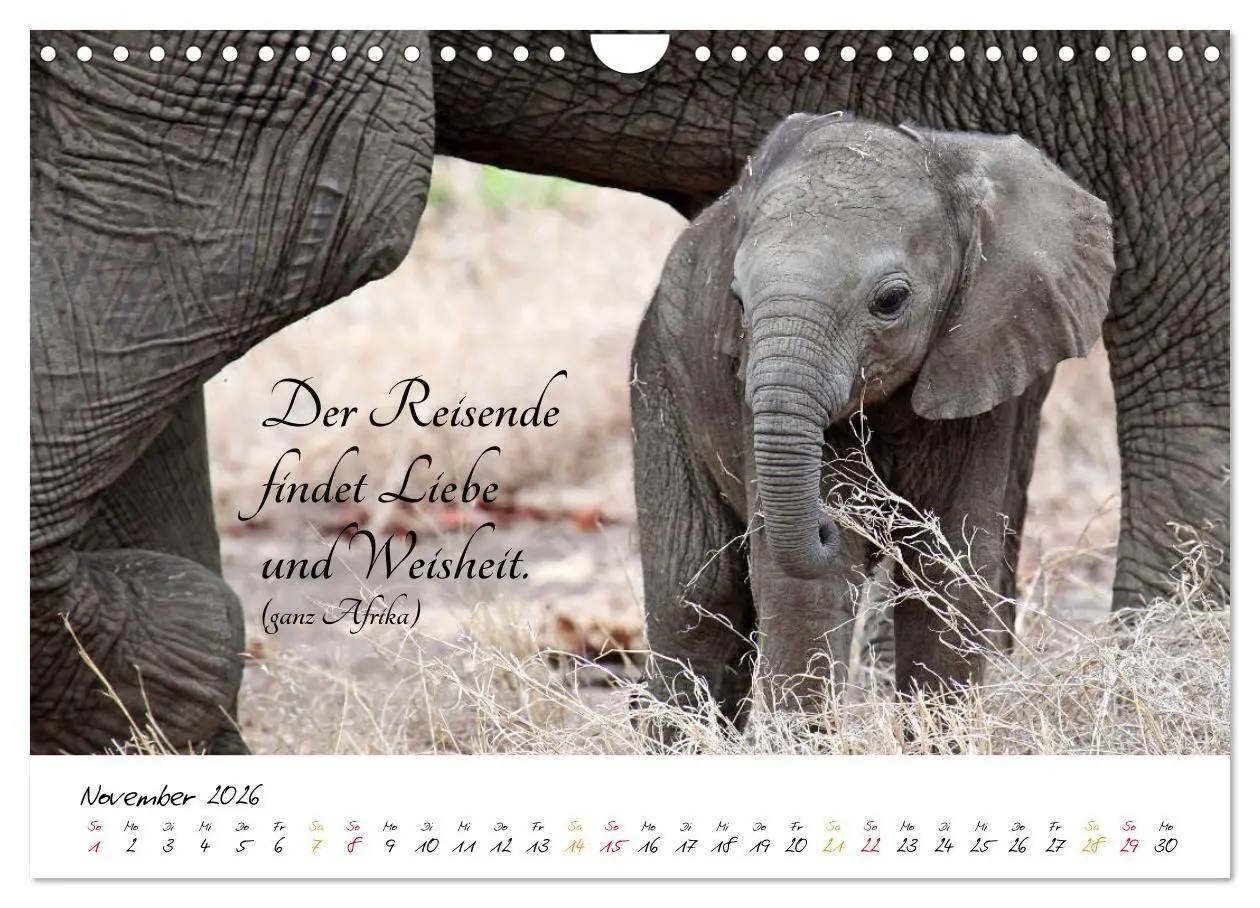 Bild: 9783457861899 | AFRIKA - Kontinent der Poesie (Wandkalender 2026 DIN A4 quer),...