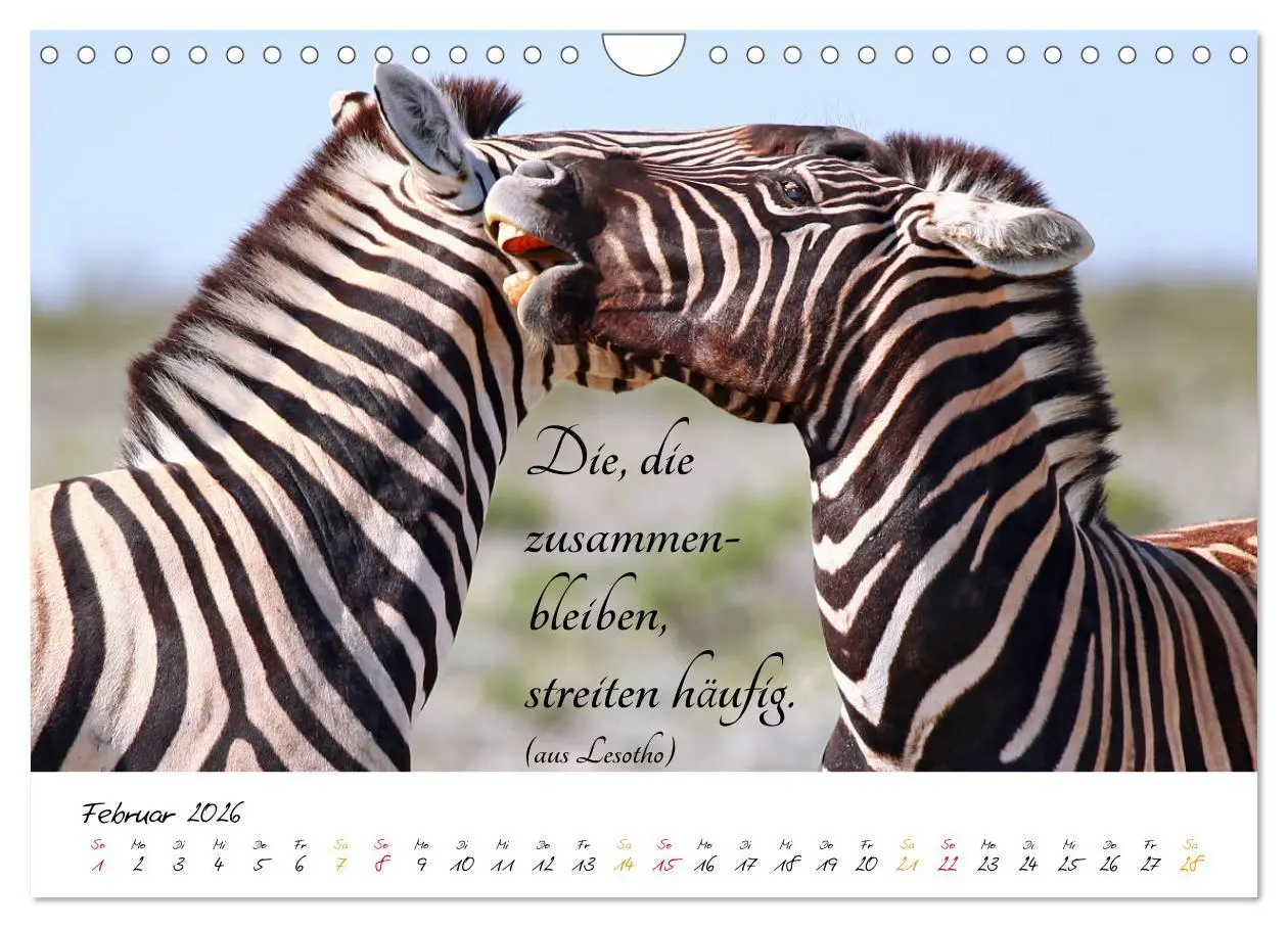 Bild: 9783457861899 | AFRIKA - Kontinent der Poesie (Wandkalender 2026 DIN A4 quer),...