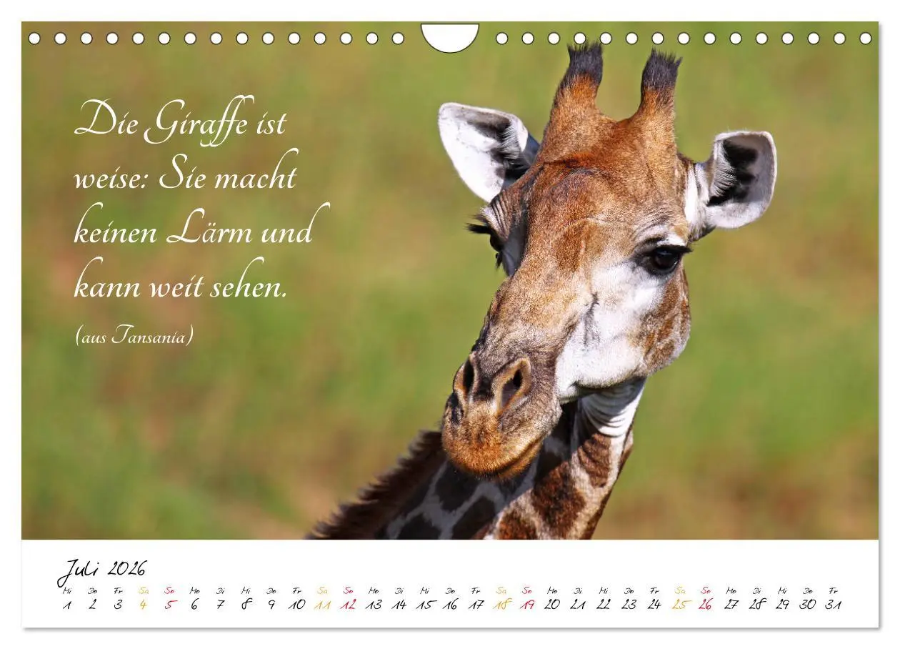 Bild: 9783457861899 | AFRIKA - Kontinent der Poesie (Wandkalender 2026 DIN A4 quer),...