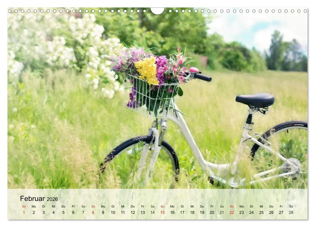 Bild: 9783516021899 | Landhaus-Romantik. Die Farben des Sommers (Wandkalender 2026 DIN A3...