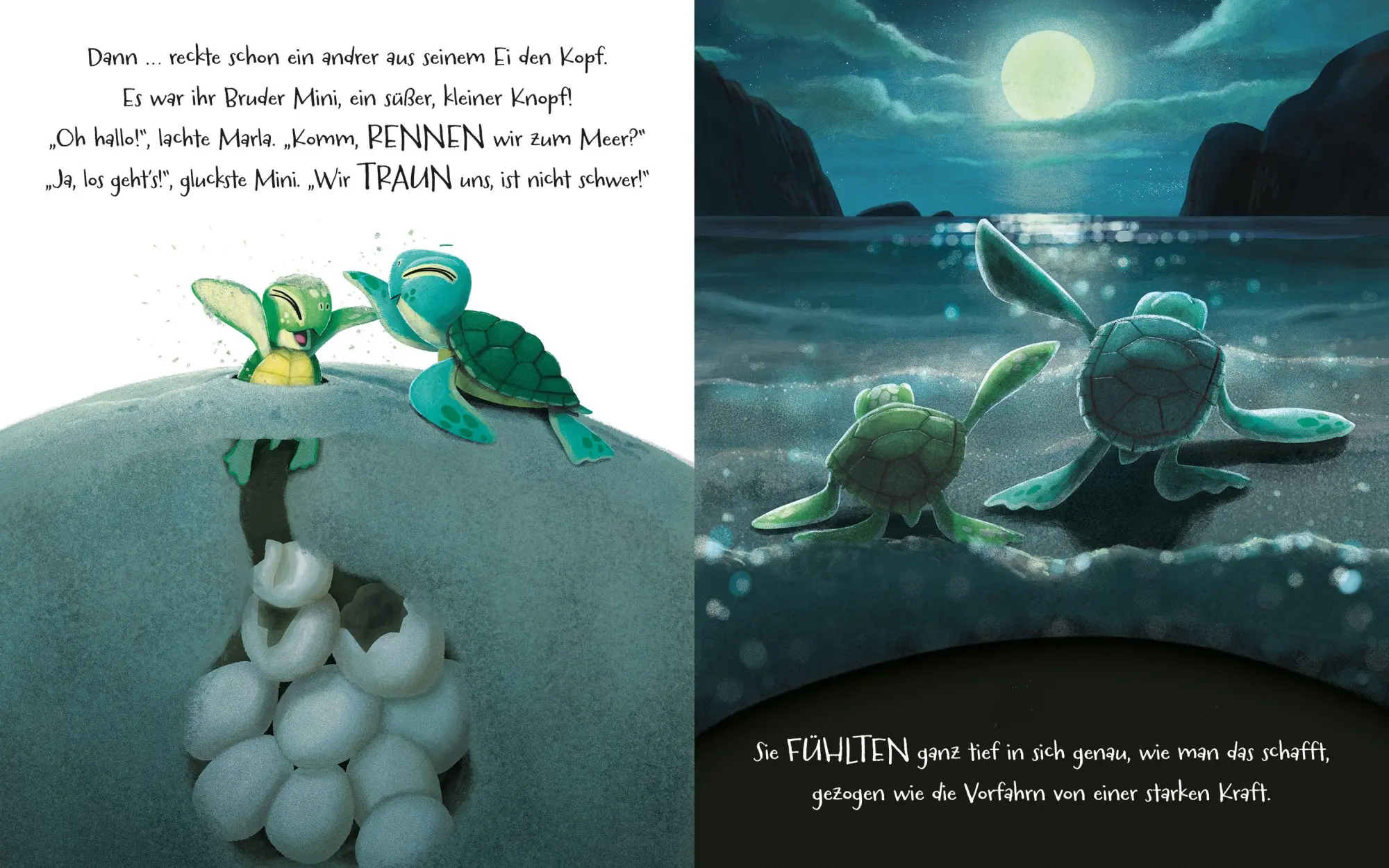 Bild: 9783734821899 | Geh deinen Weg, Schildkröte | Rachel Bright | Buch | 32 S. | Deutsch