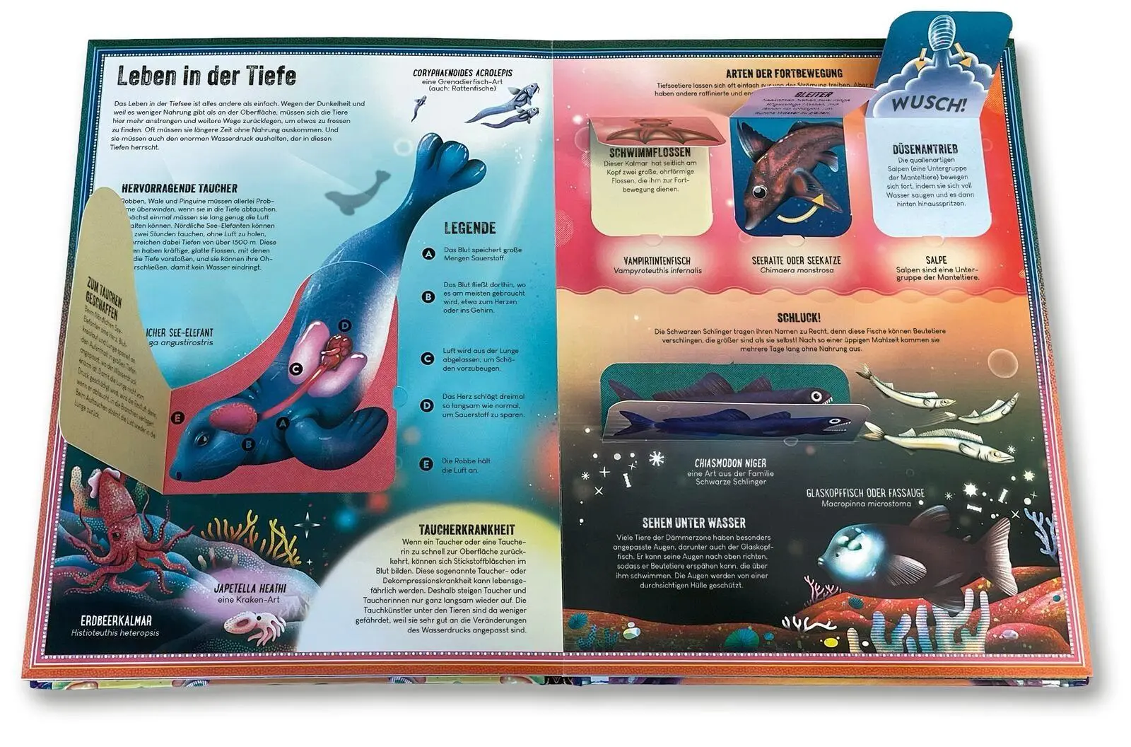 Bild: 9783845871899 | Das unglaubliche Pop-up-Buch - Tiefsee | Ben Hoare | Buch | 16 S.
