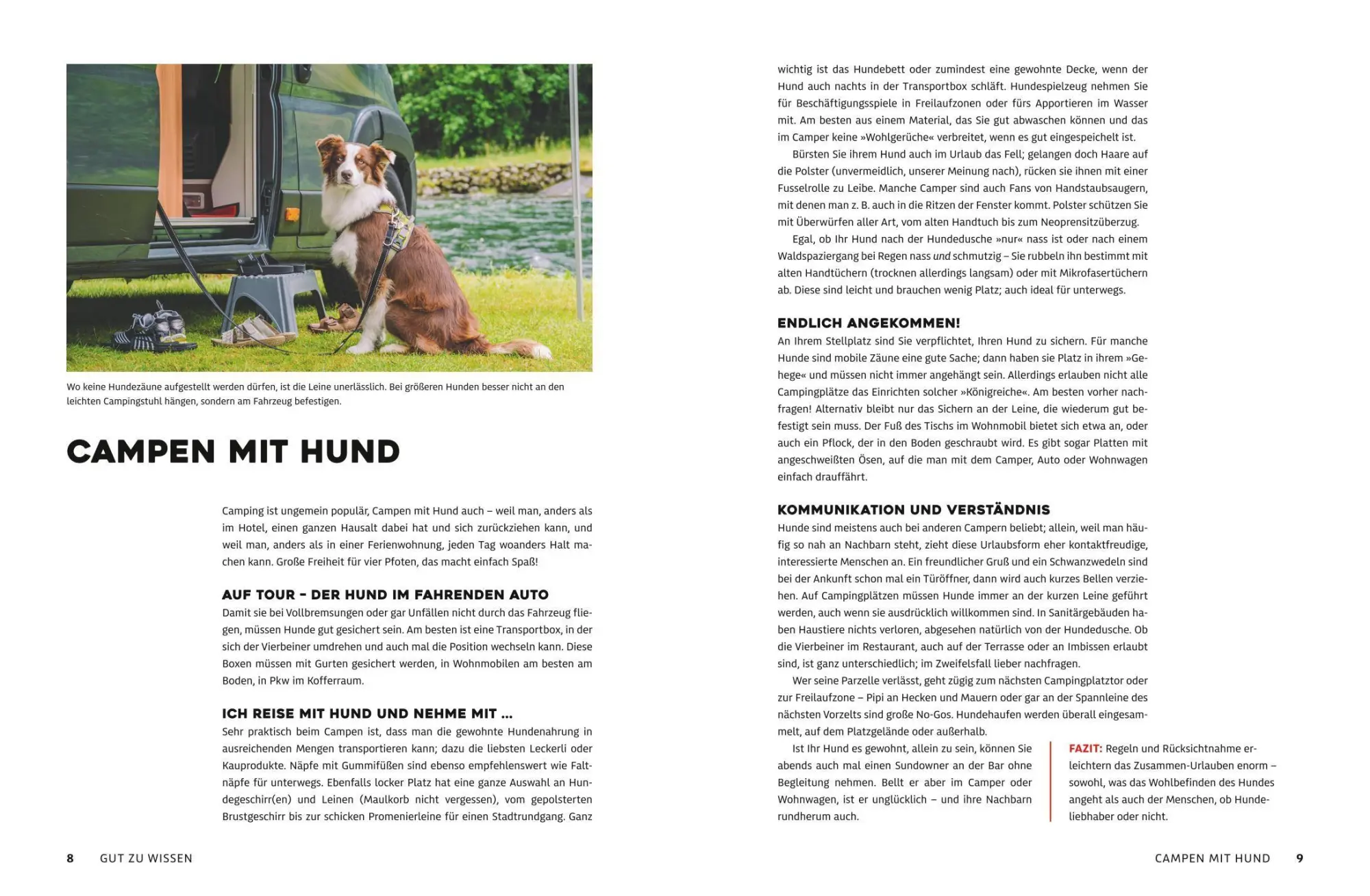 Bild: 9783986451899 | Yes we camp! Camping mit Hund am Wasser | Eva Stadler (u. a.) | Buch