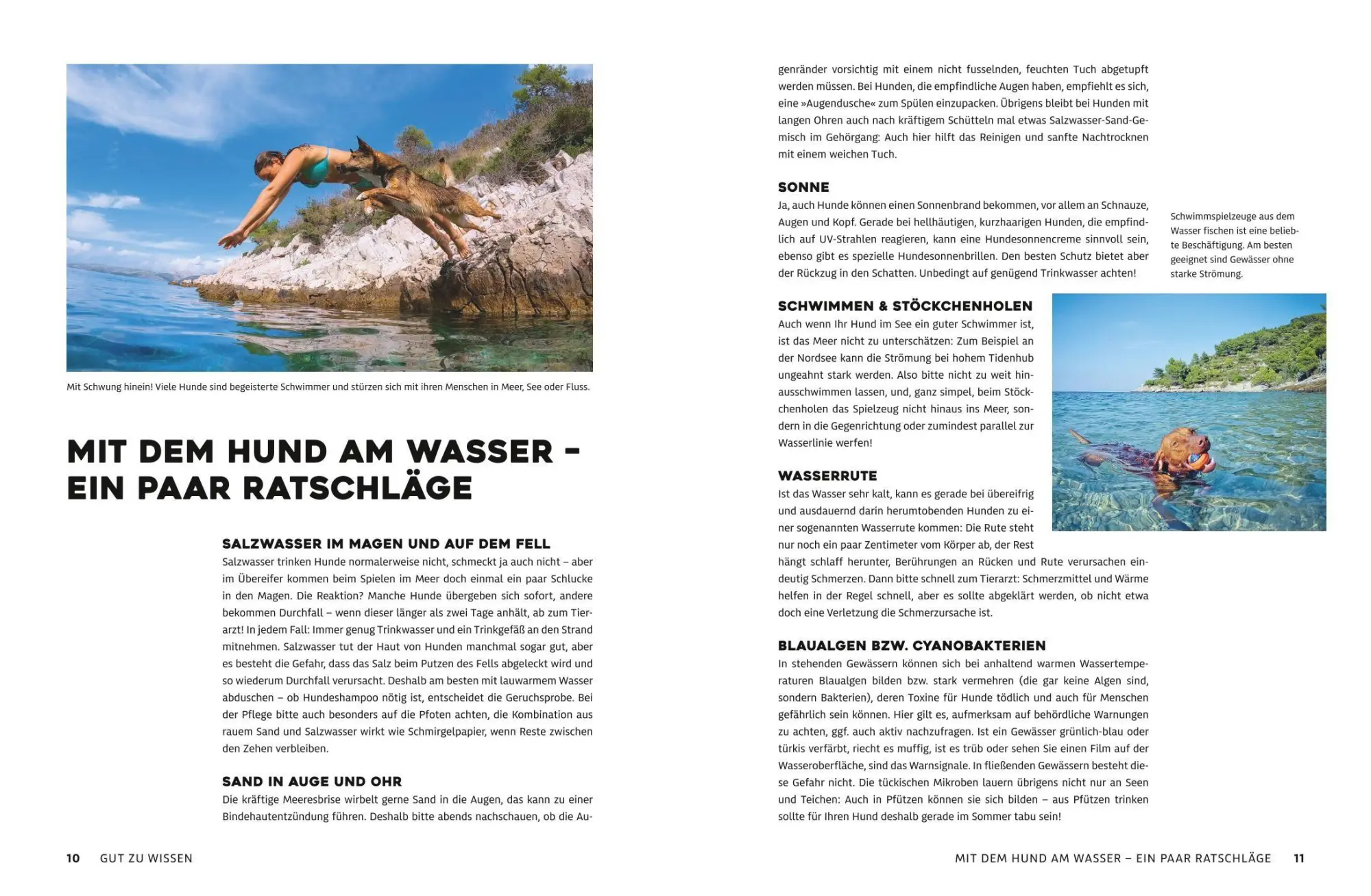 Bild: 9783986451899 | Yes we camp! Camping mit Hund am Wasser | Eva Stadler (u. a.) | Buch