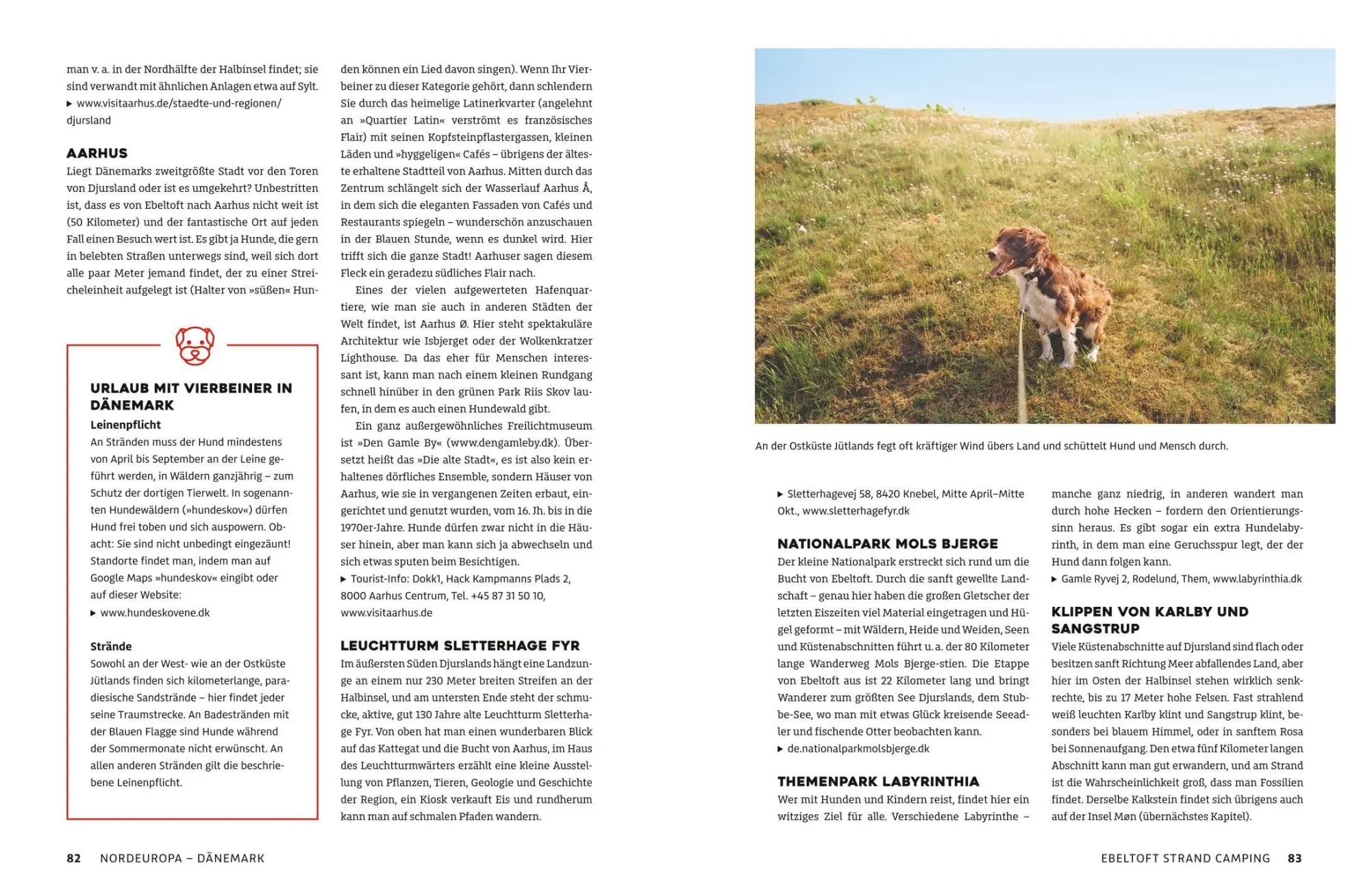 Bild: 9783986451899 | Yes we camp! Camping mit Hund am Wasser | Eva Stadler (u. a.) | Buch