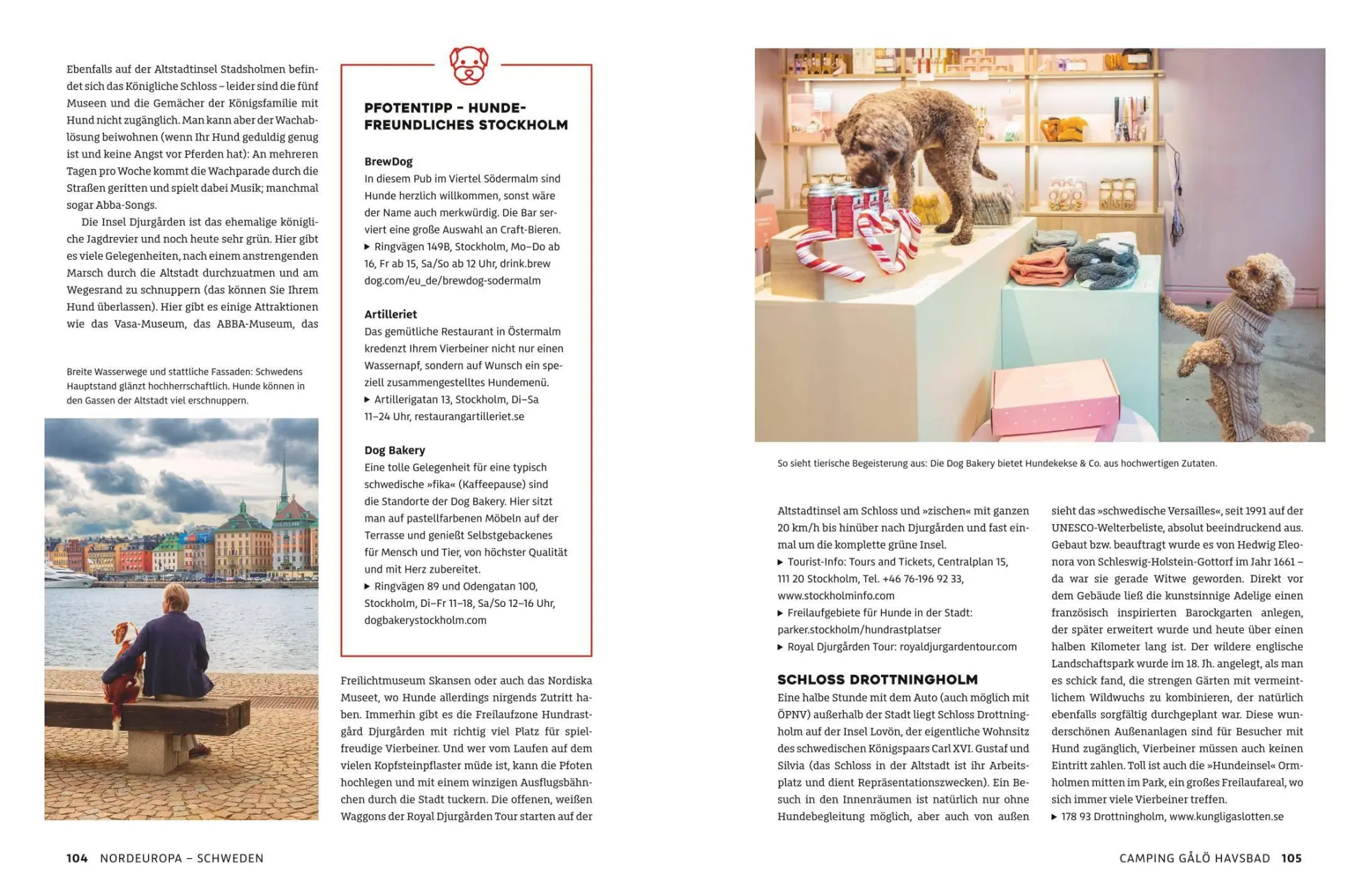 Bild: 9783986451899 | Yes we camp! Camping mit Hund am Wasser | Eva Stadler (u. a.) | Buch