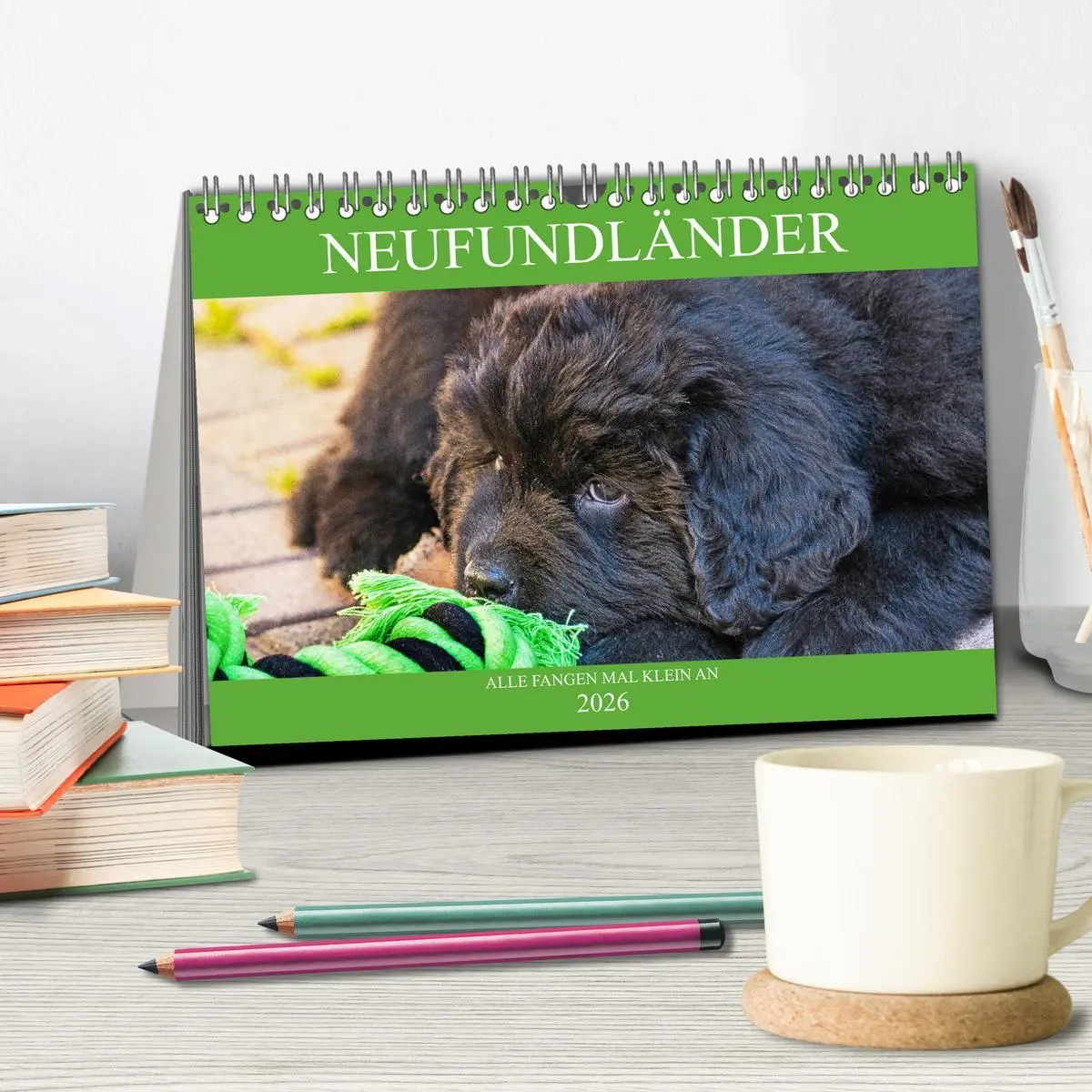 Bild: 9783457781999 | Neufundländer - Alle fangen mal klein an (Tischkalender 2026 DIN A5...