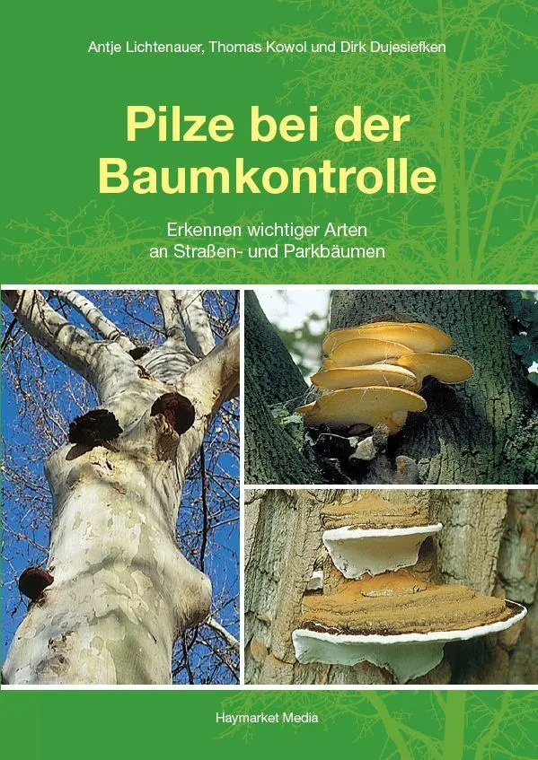 Cover: 9783878151999 | Pilze bei der Baumkontrolle | Antje Lichtenauer (u. a.) | Taschenbuch Cover: 9783878151999 | Pilze bei der Baumkontrolle | Antje Lichtenauer (u. a.) | Taschenbuch