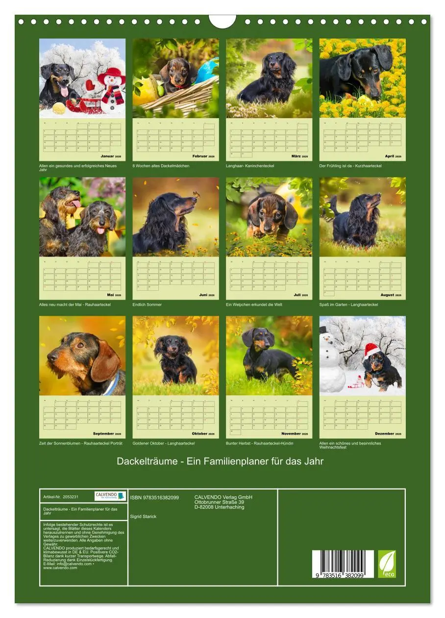 Bild: 9783516382099 | Dackelträume - Ein Familienplaner für das Jahr (Wandkalender 2026...