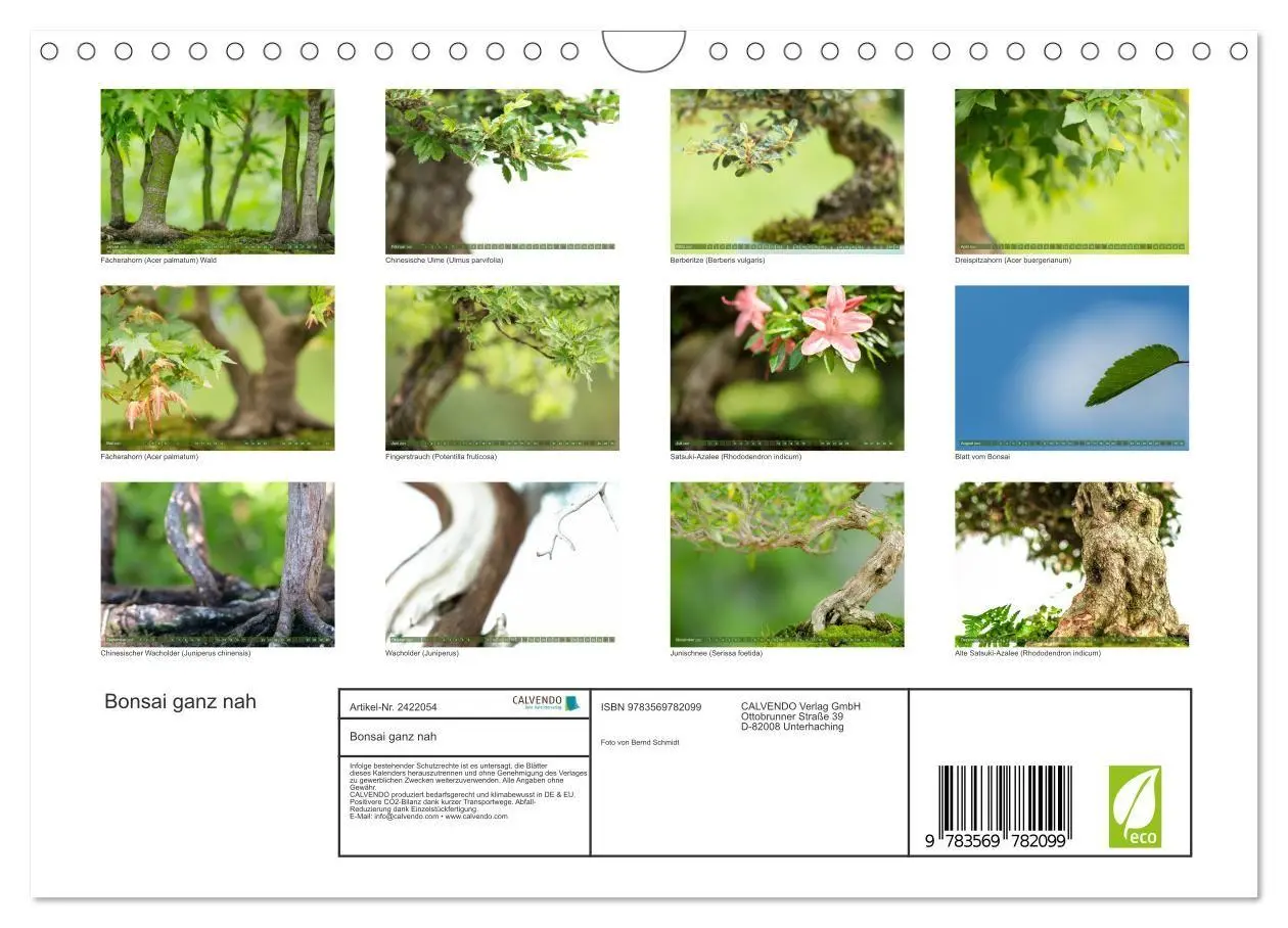 Bild: 9783569782099 | Bonsai ganz nah (Wandkalender 2027 DIN A4 quer), CALVENDO...
