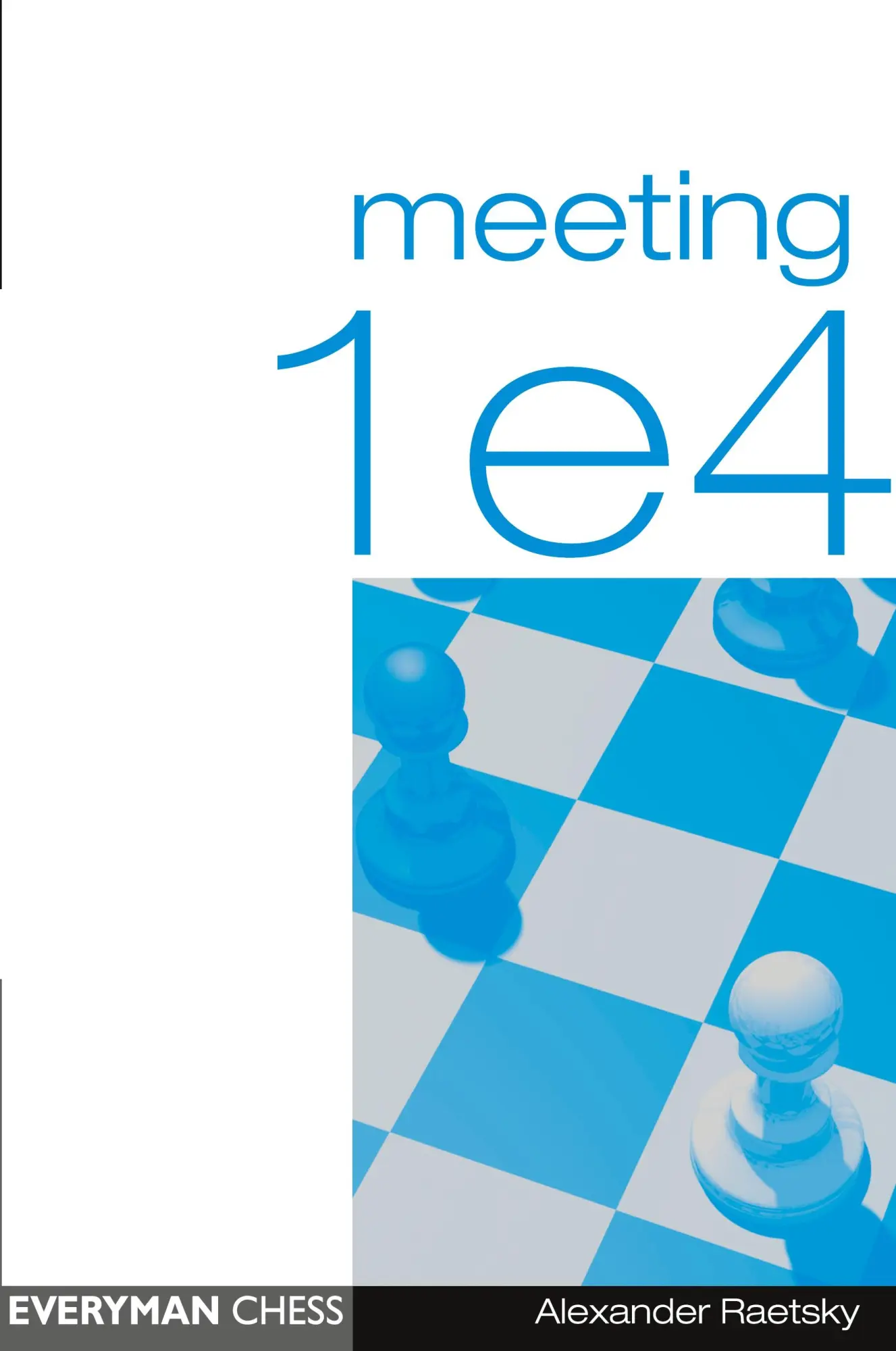 Cover: 9781857442199 | Meeting 1e4 | Alex Raetsky | Taschenbuch | Kartoniert / Broschiert