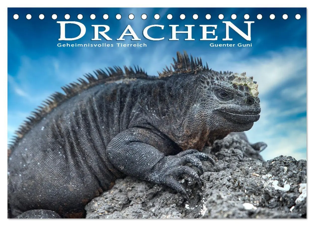 Cover: 9783457592199 | Drachen: Geheimnisvolles Tierreich (Tischkalender 2026 DIN A5...