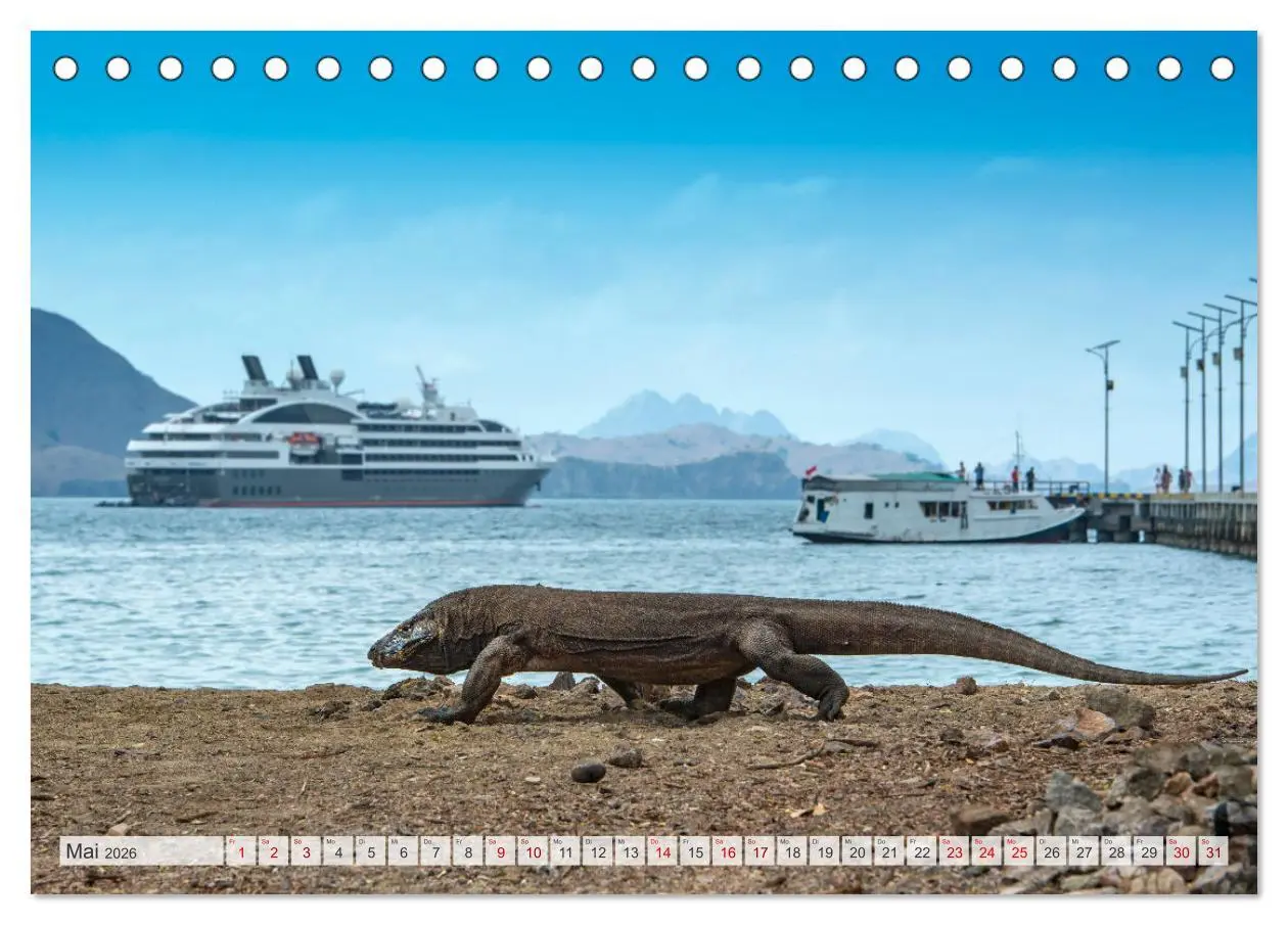 Bild: 9783457592199 | Drachen: Geheimnisvolles Tierreich (Tischkalender 2026 DIN A5...