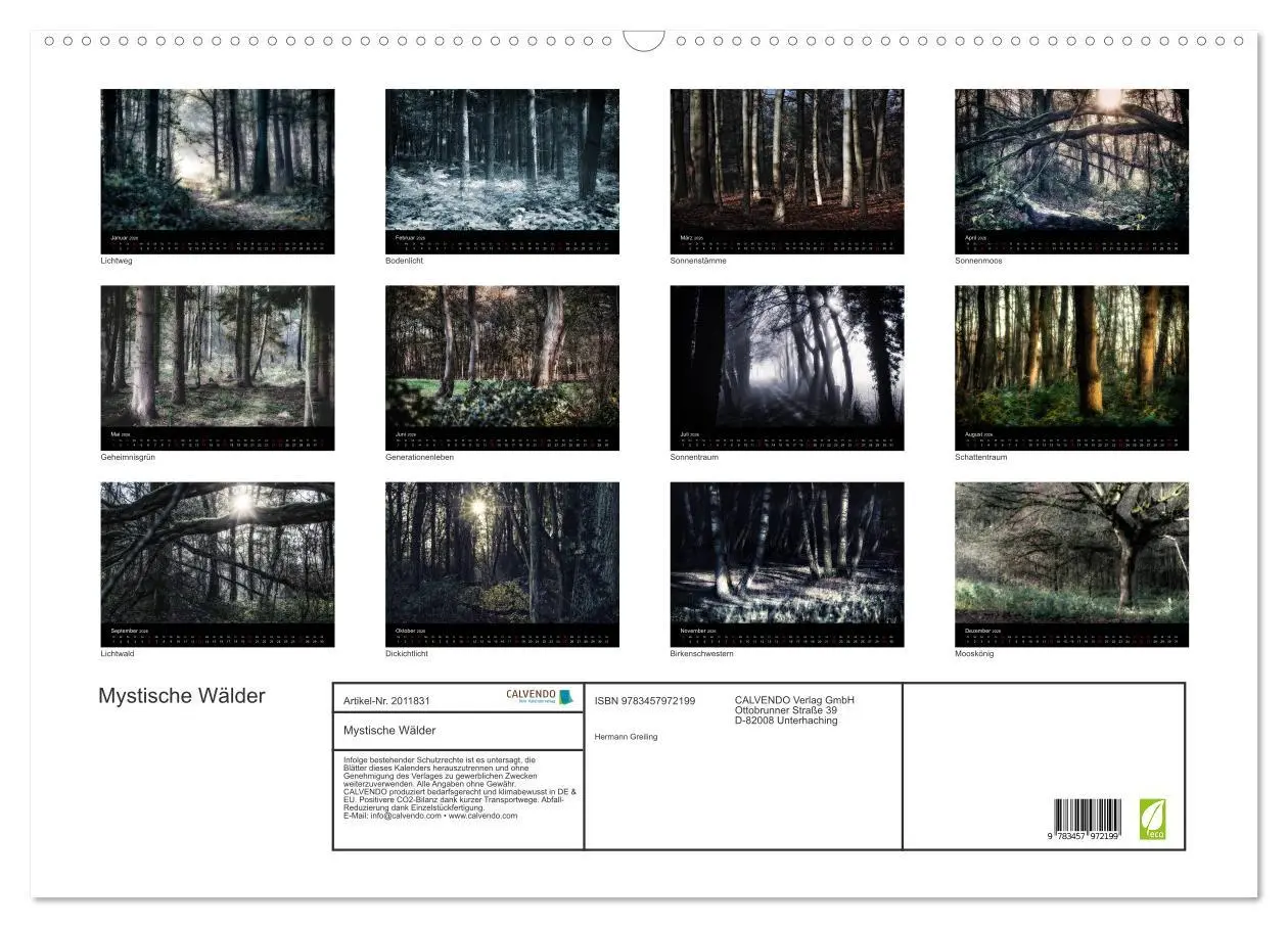 Bild: 9783457972199 | Mystische Wälder (Wandkalender 2026 DIN A2 quer), CALVENDO...