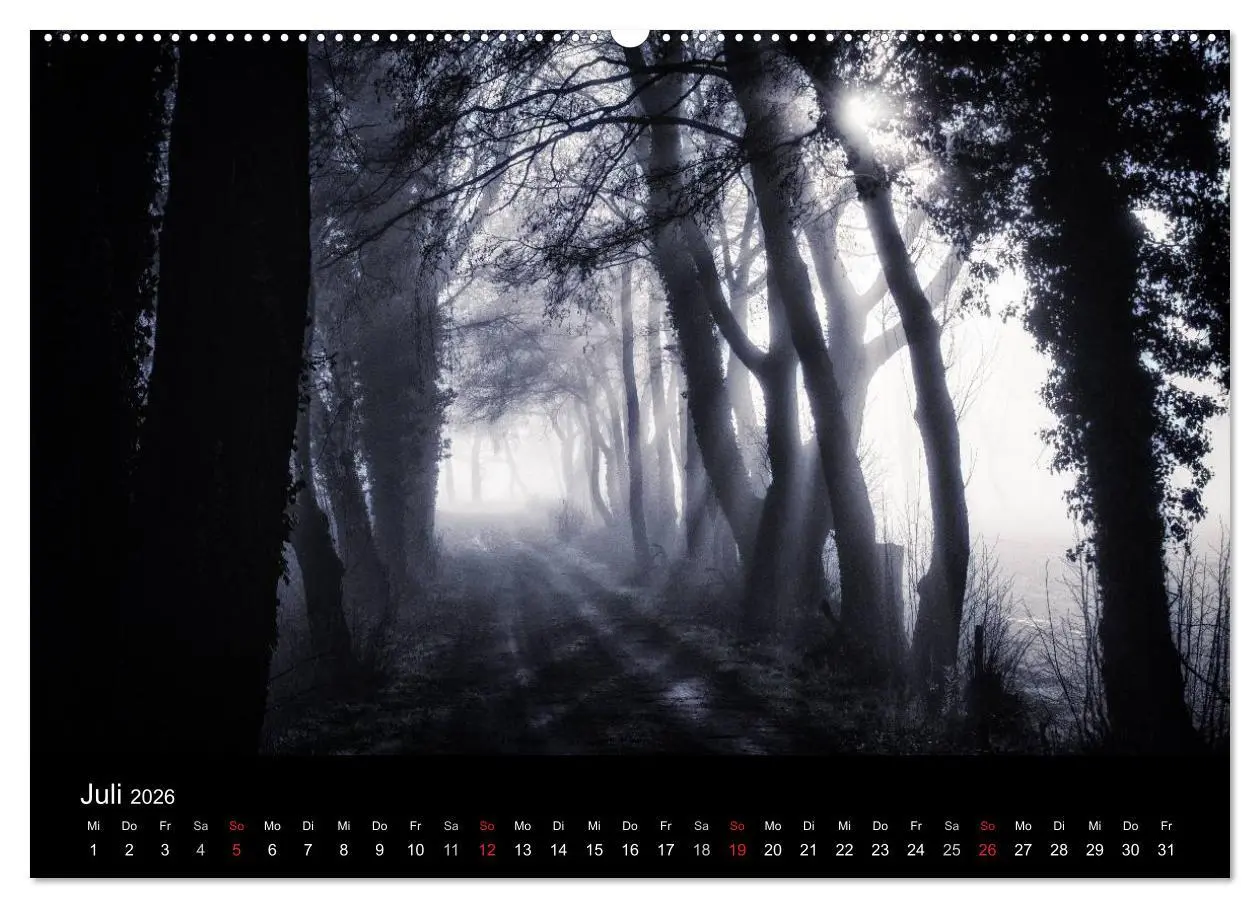 Bild: 9783457972199 | Mystische Wälder (Wandkalender 2026 DIN A2 quer), CALVENDO...