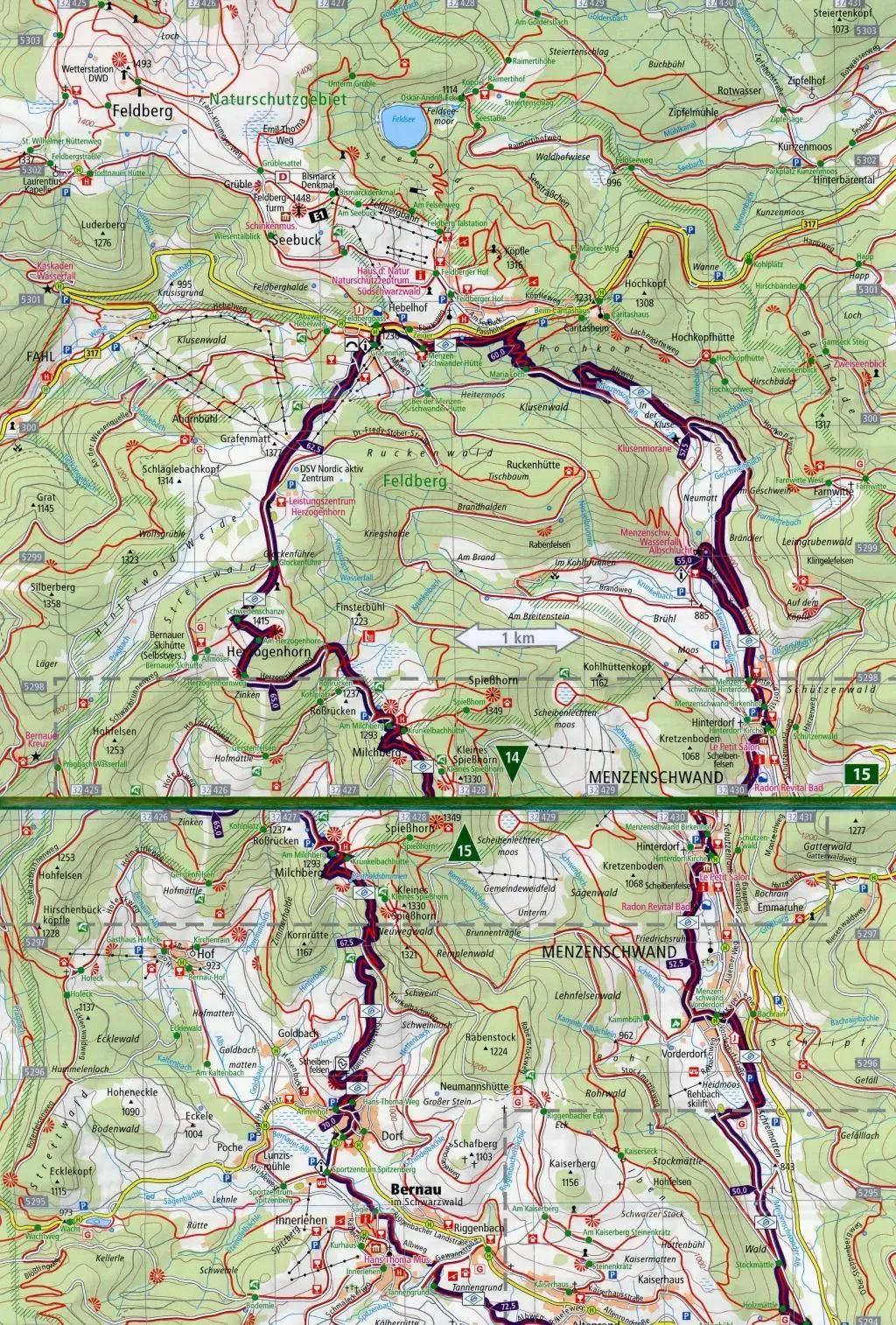 Bild: 9783899202199 | Albsteig, Schwarzwald, Albbruck - Feldbergpass, St. Blasien 1:35 000