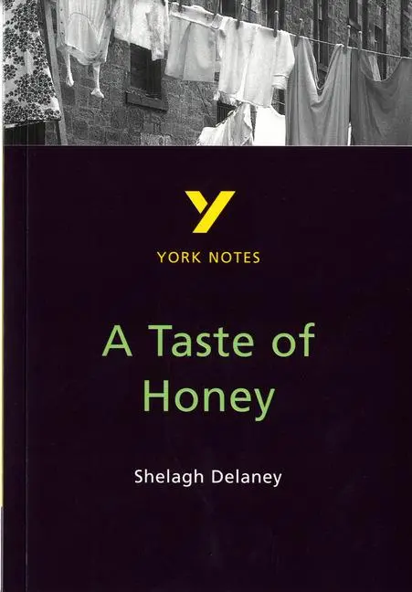 Cover: 9780582382299 | A Taste of Honey York Notes GCSE English Literature Study Guide -...