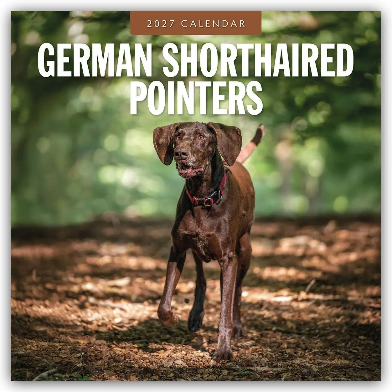 Cover: 9781837012299 | German Shorthaired Pointers - Deutscher Kurzhaar - Deutscher...