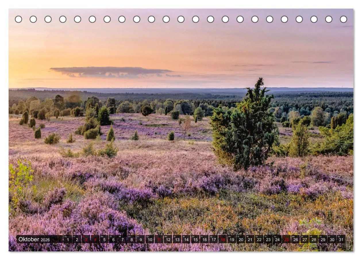 Bild: 9783457582299 | Die Lüneburger Heide - Faszination einer Naturlandschaft...