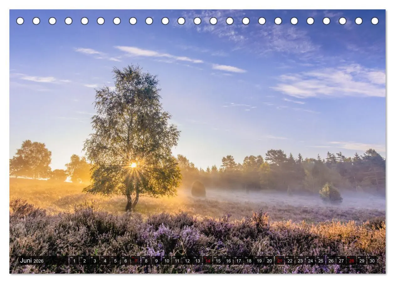 Bild: 9783457582299 | Die Lüneburger Heide - Faszination einer Naturlandschaft...
