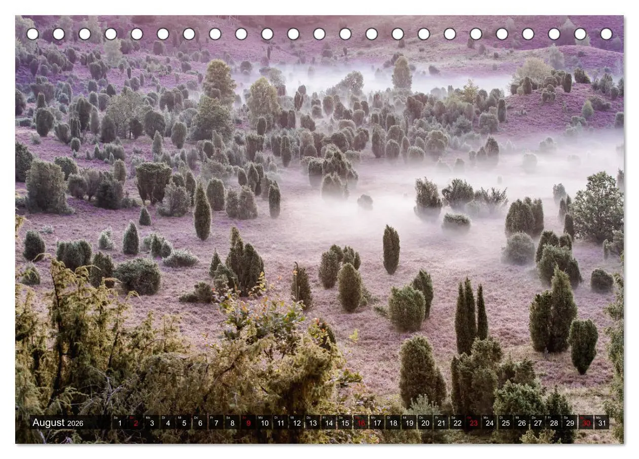 Bild: 9783457582299 | Die Lüneburger Heide - Faszination einer Naturlandschaft...