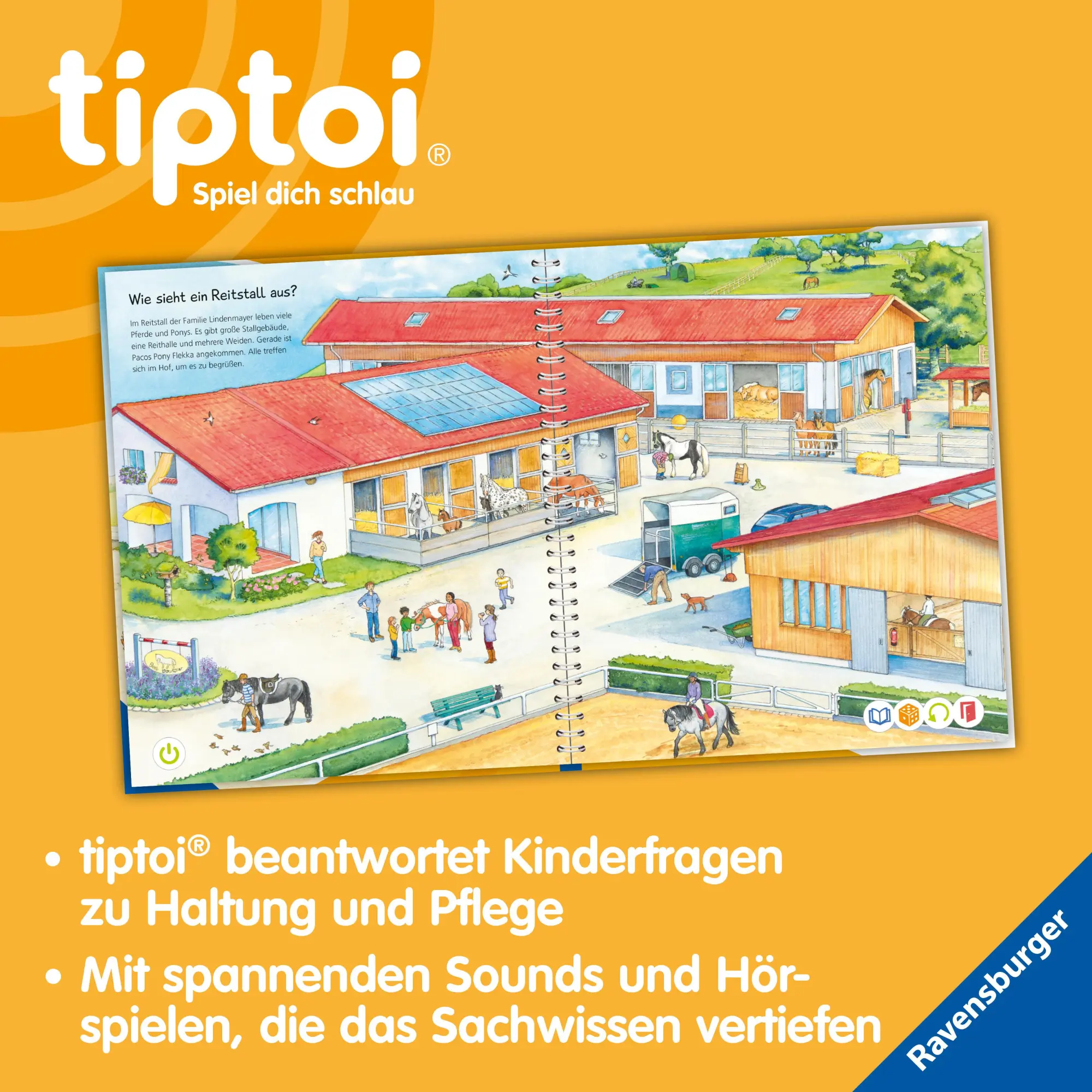 Bild: 9783473492299 | tiptoi® Wieso? Weshalb? Warum? Wir entdecken Pferde und Ponys | Buch