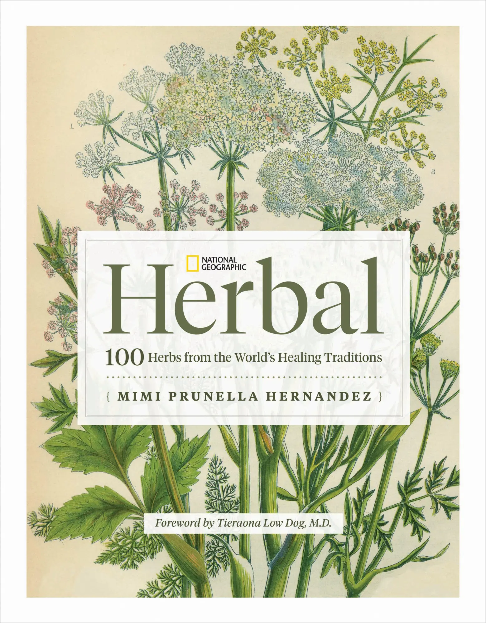 Cover: 9781426222399 | National Geographic Herbal | Mimi Prunella Hernandez | Buch | Englisch