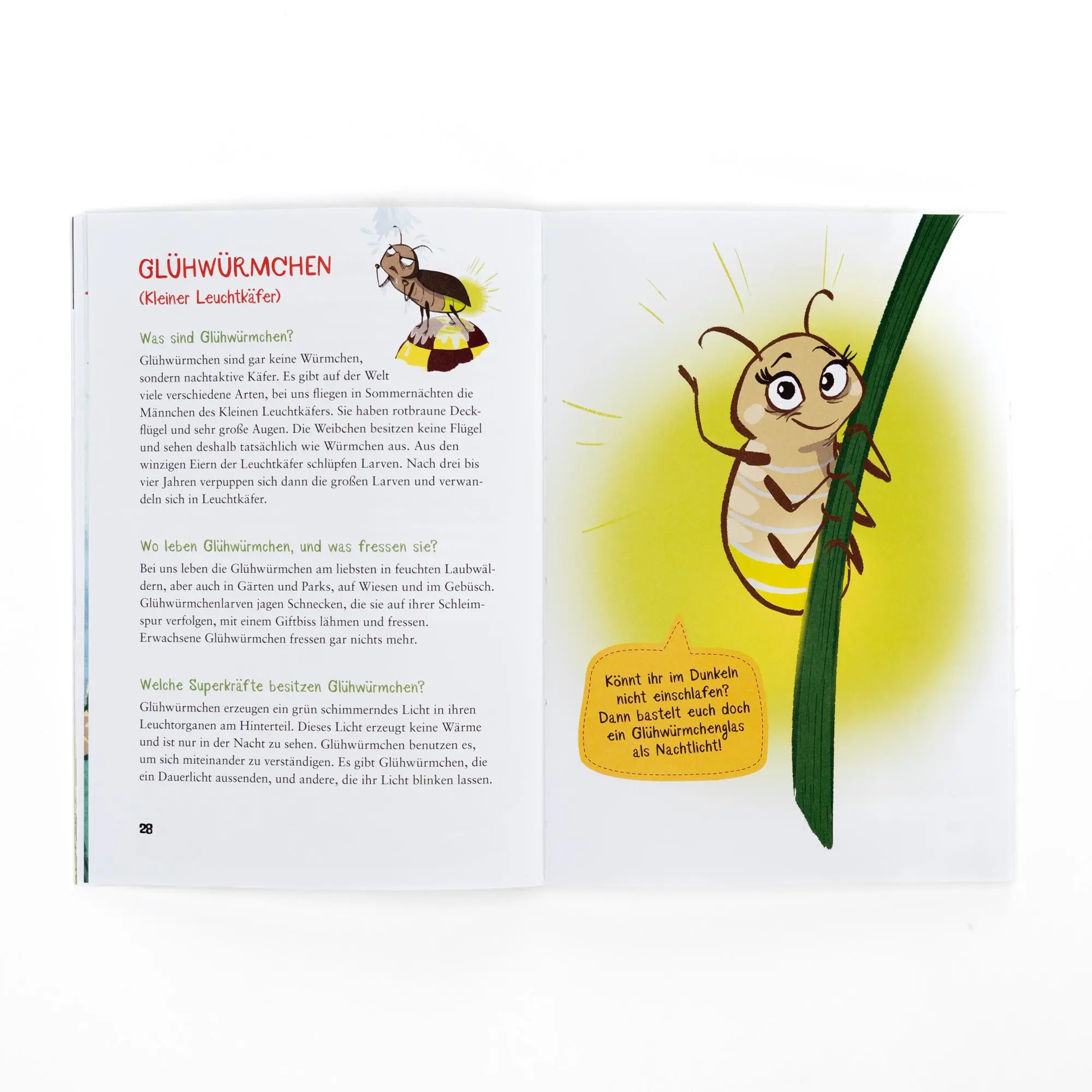 Bild: 9783505152399 | Die kleine Schnecke Monika Häuschen: Basteln, backen, ausprobieren...