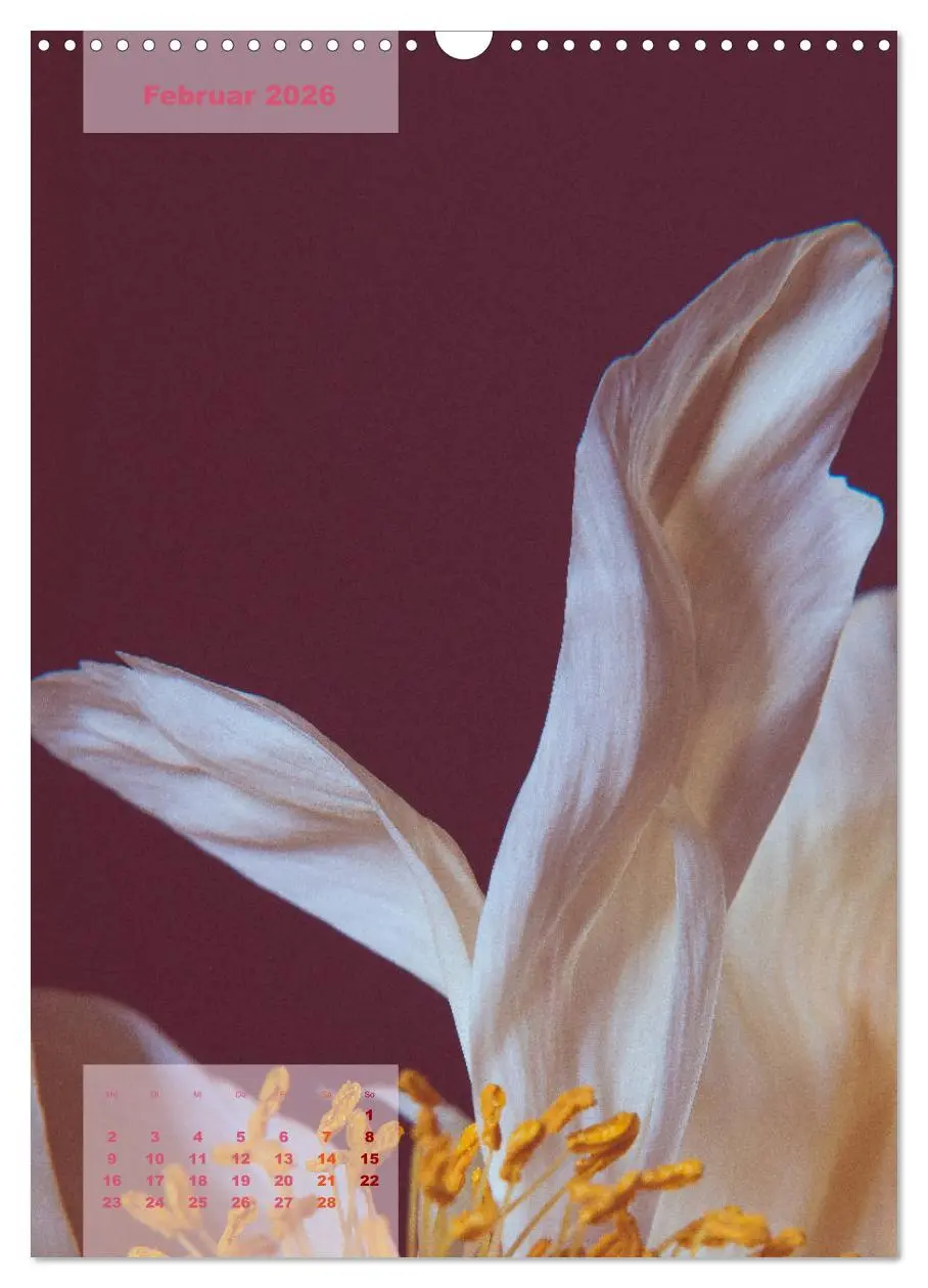 Bild: 9783516422399 | Die Königin der Rosen (Wandkalender 2026 DIN A3 hoch), CALVENDO...