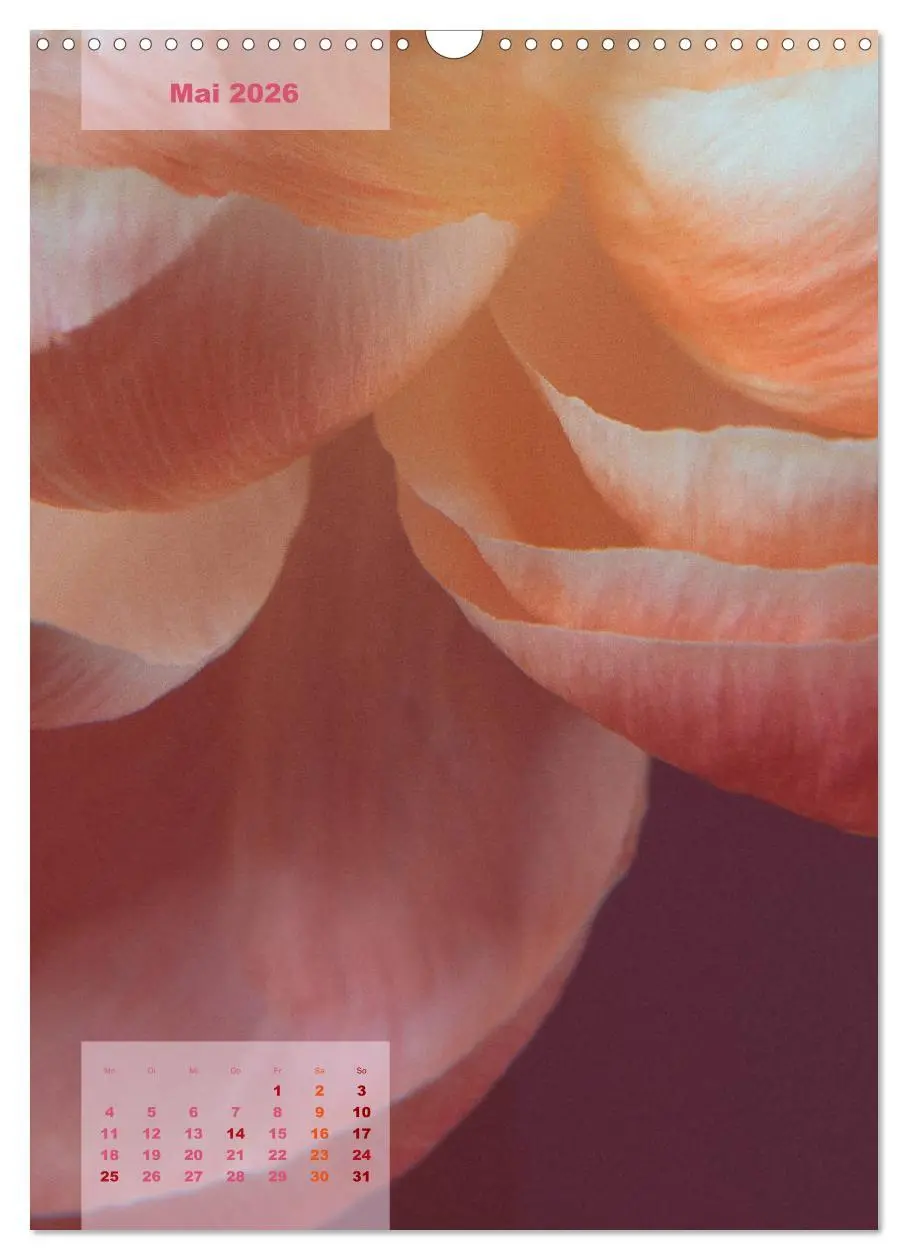 Bild: 9783516422399 | Die Königin der Rosen (Wandkalender 2026 DIN A3 hoch), CALVENDO...