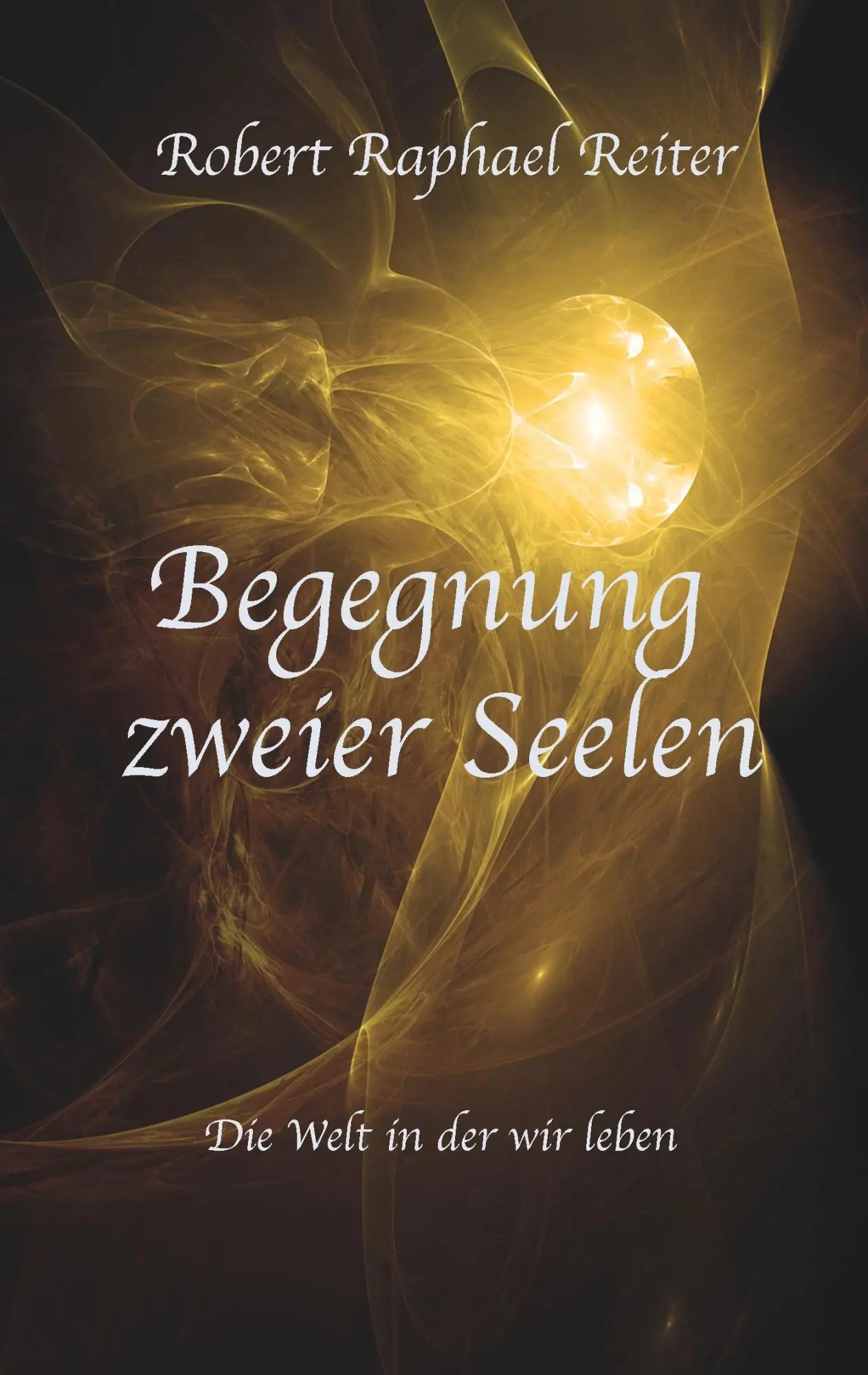 Cover: 9783752802399 | Begegnung zweier Seelen | Die Welt in der wir leben | Reiter | Buch