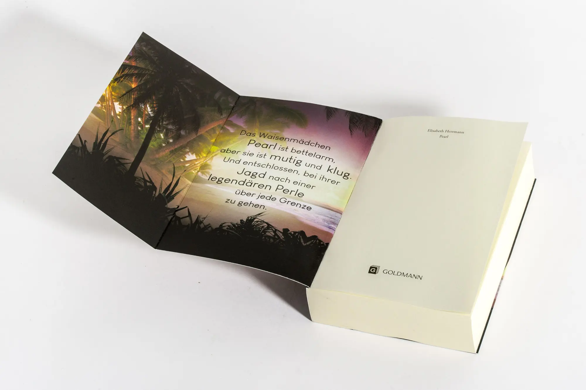 Bild: 9783442302499 | Pearl. Königin der Meere | Elisabeth Herrmann | Taschenbuch | 624 S.