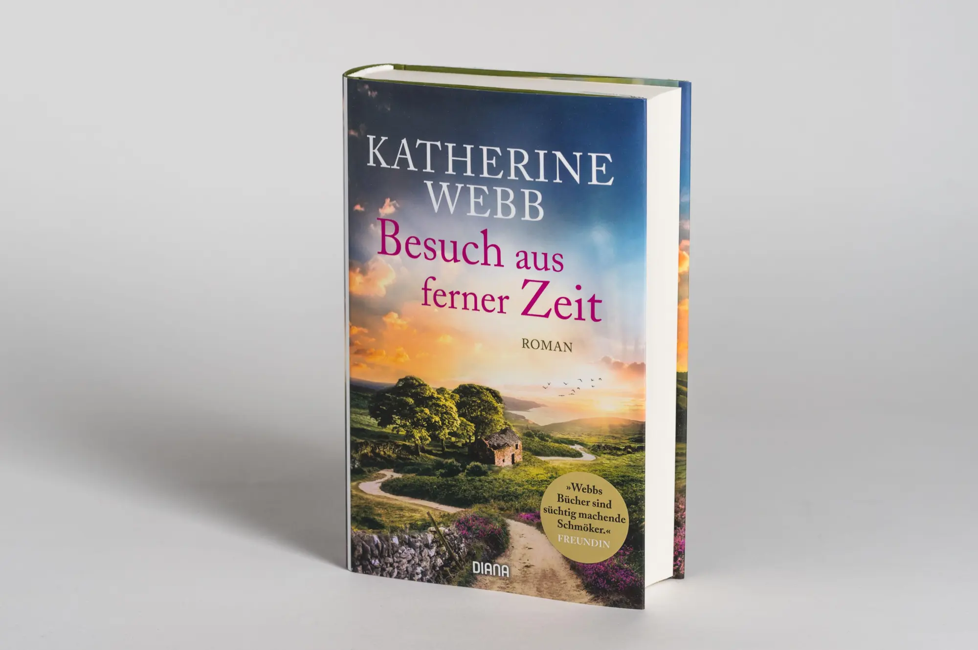 Bild: 9783453292499 | Besuch aus ferner Zeit | Roman | Katherine Webb | Buch | 576 S. | 2021
