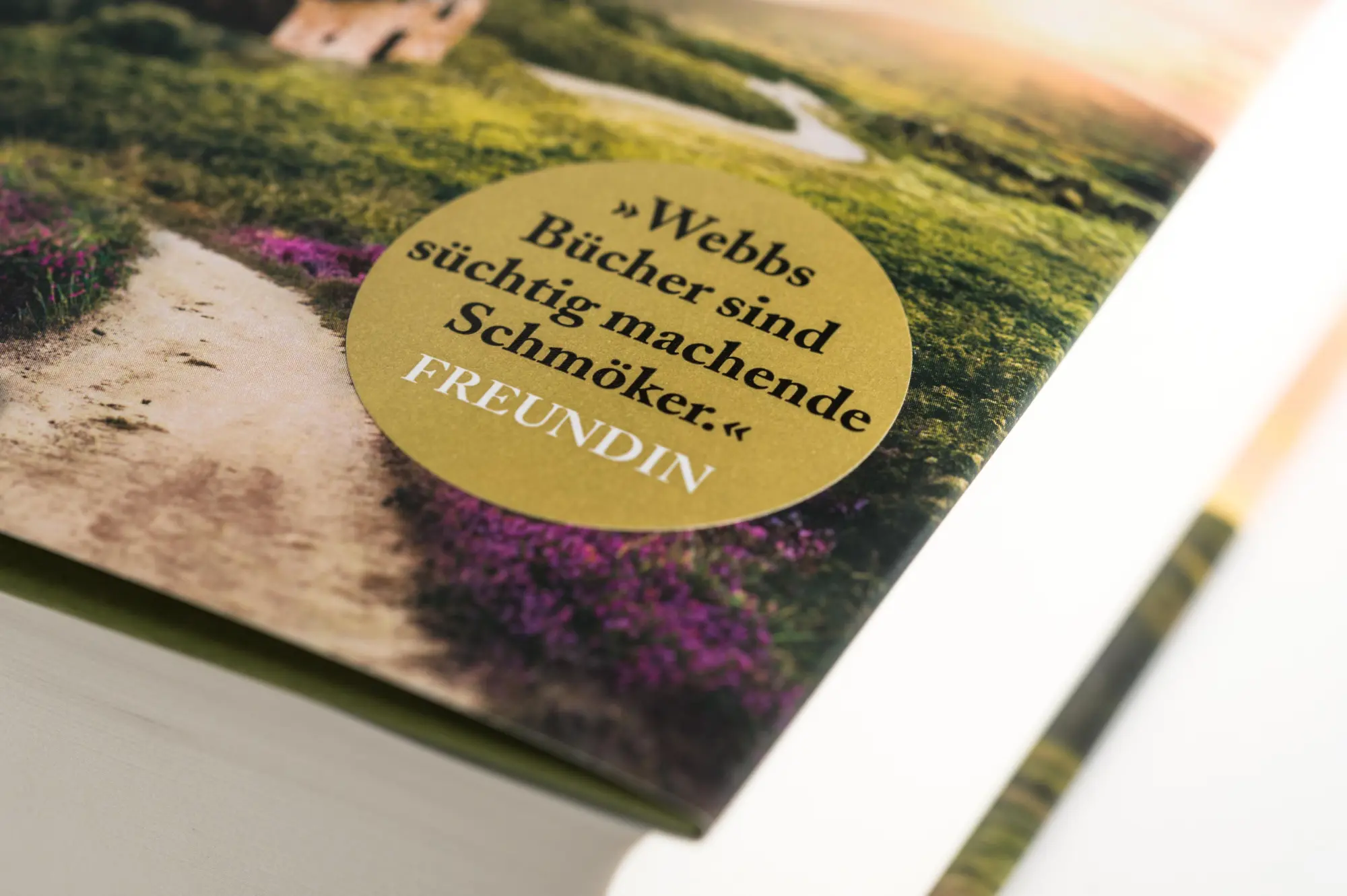 Bild: 9783453292499 | Besuch aus ferner Zeit | Roman | Katherine Webb | Buch | 576 S. | 2021