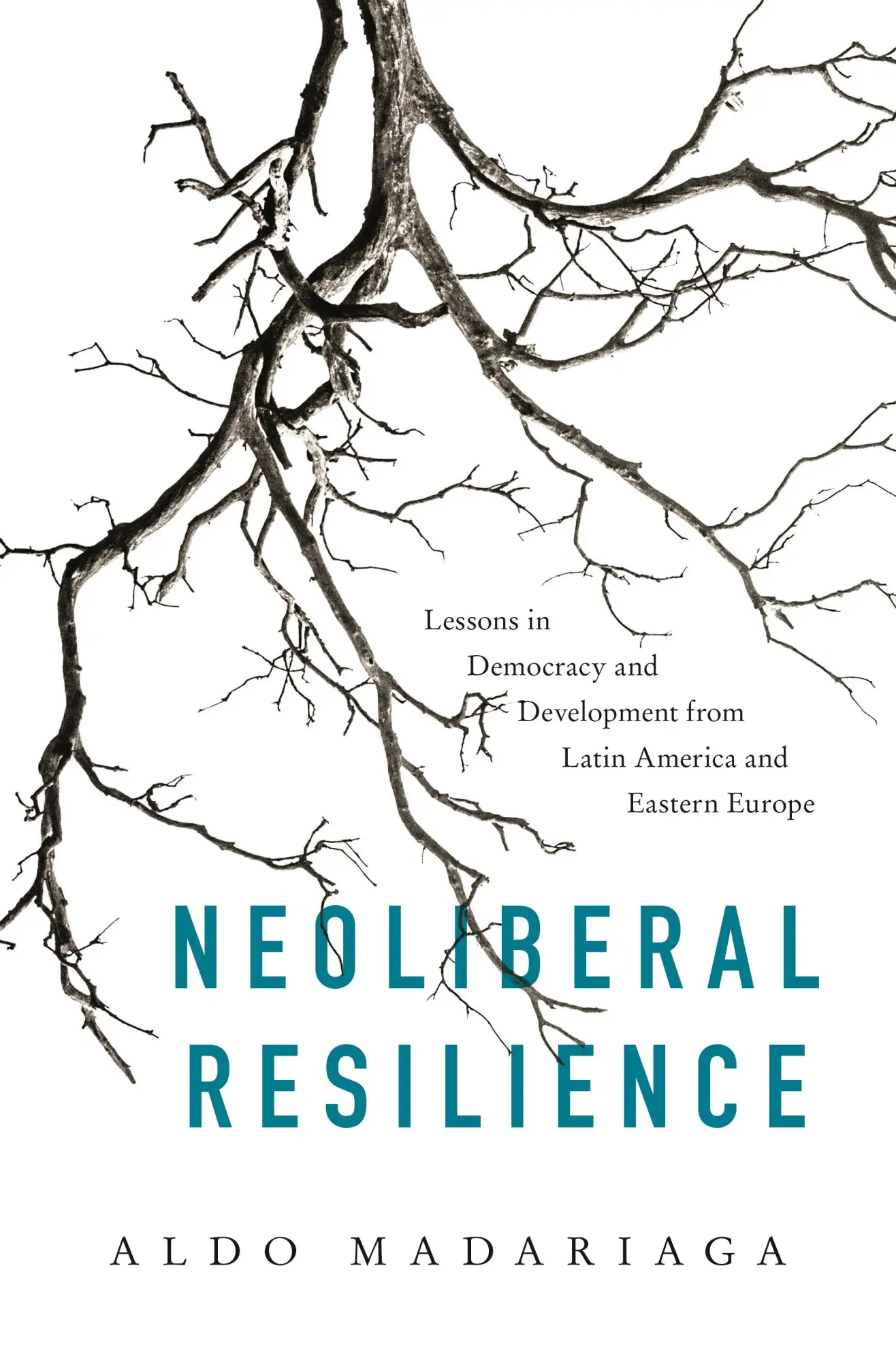 Cover: 9780691182599 | Neoliberal Resilience | Aldo Madariaga | Buch | Gebunden | Englisch