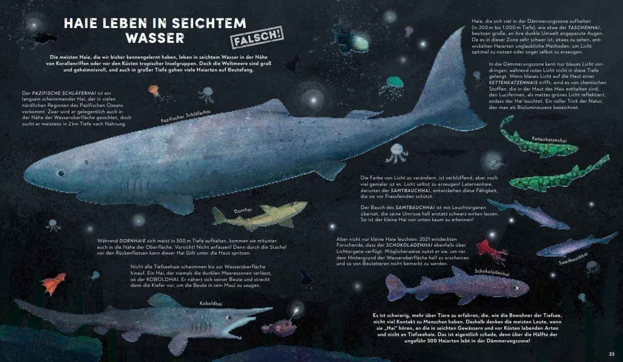 Bild: 9783328302599 | Alles, was wir über Haie wissen, ist falsch! | Nick Crumpton | Buch