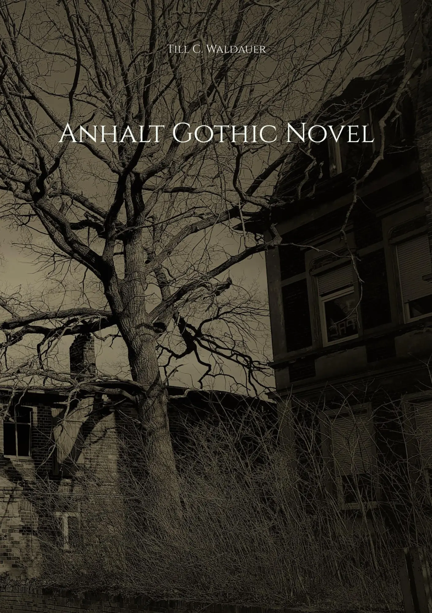 Cover: 9783756842599 | Anhalt Gothic Novel | Till C. Waldauer | Taschenbuch | 220 S. | 2022
