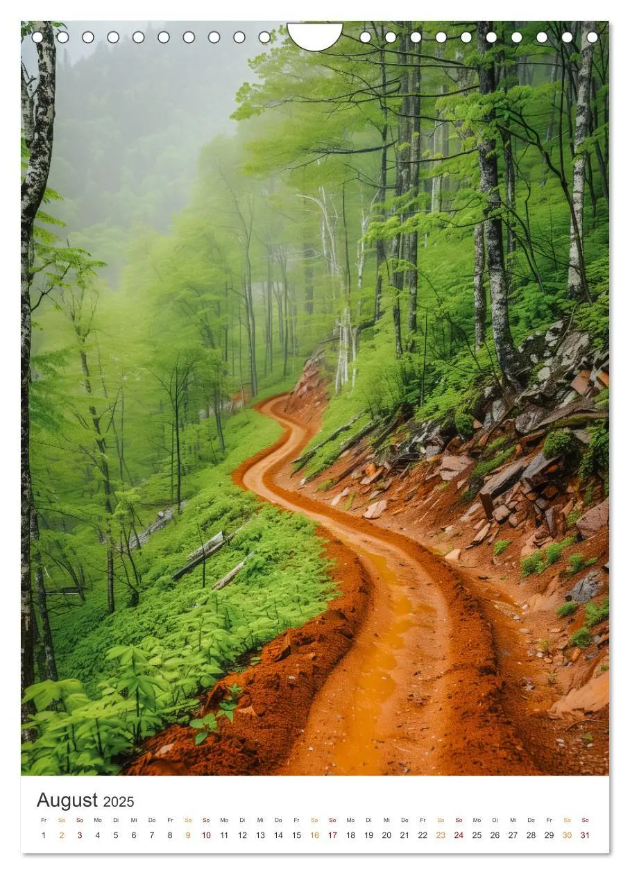 Bild: 9783383812699 | Mystische Pfade (Wandkalender 2025 DIN A4 hoch), CALVENDO...