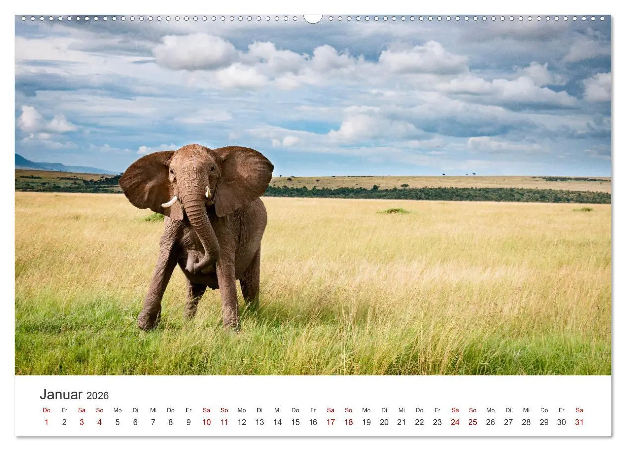 Bild: 9783457612699 | Kenia - Das wundervolle Land in Afrika. (Wandkalender 2026 DIN A2...