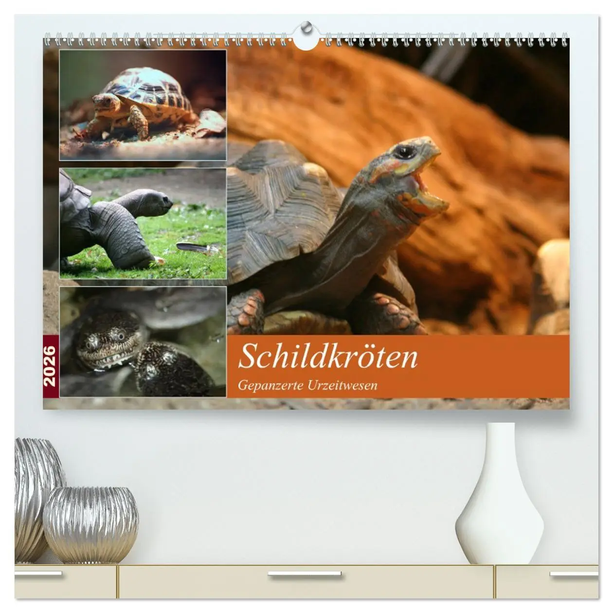 Cover: 9783516182699 | Schildkröten - Gepanzerte Urzeitwesen (hochwertiger Premium...