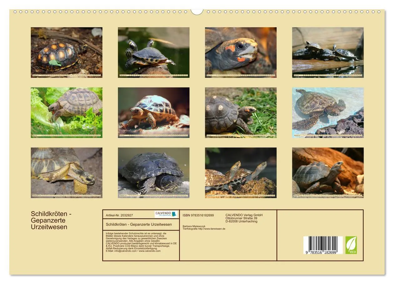Bild: 9783516182699 | Schildkröten - Gepanzerte Urzeitwesen (hochwertiger Premium...