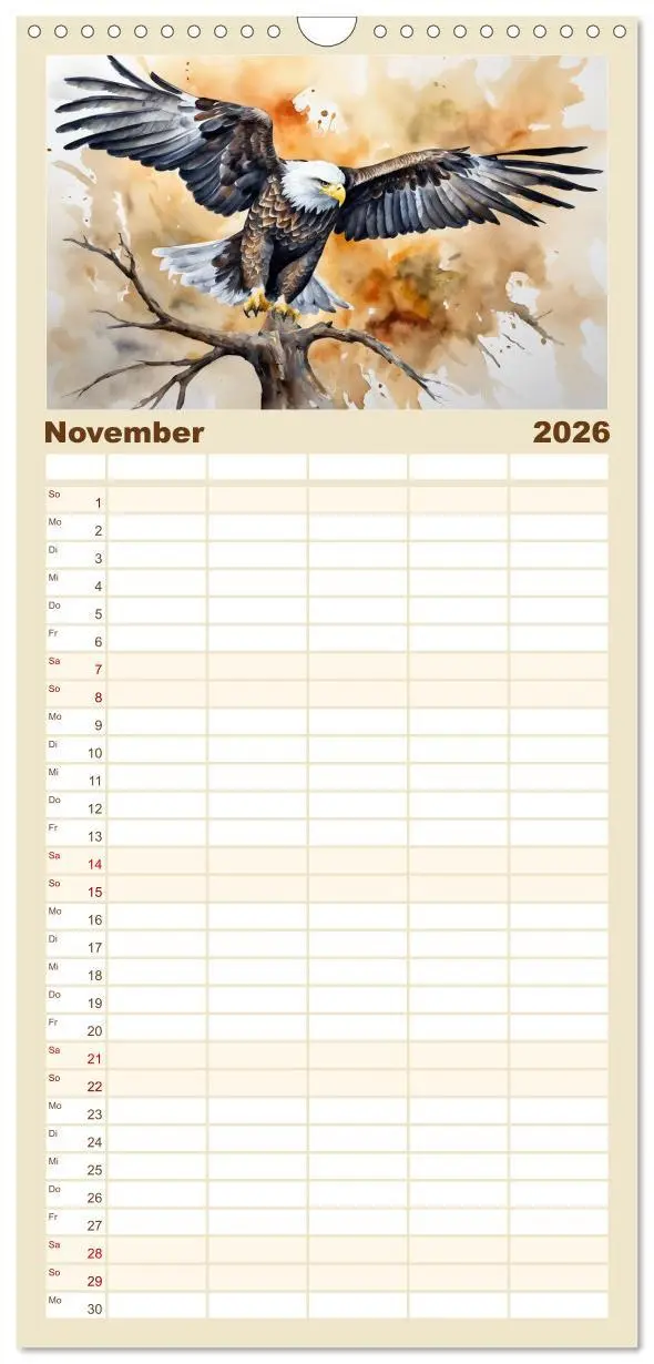 Bild: 9783516492699 | Familienplaner 2026 - Weißkopfseeadler - Majestätische Vögel mit 5...