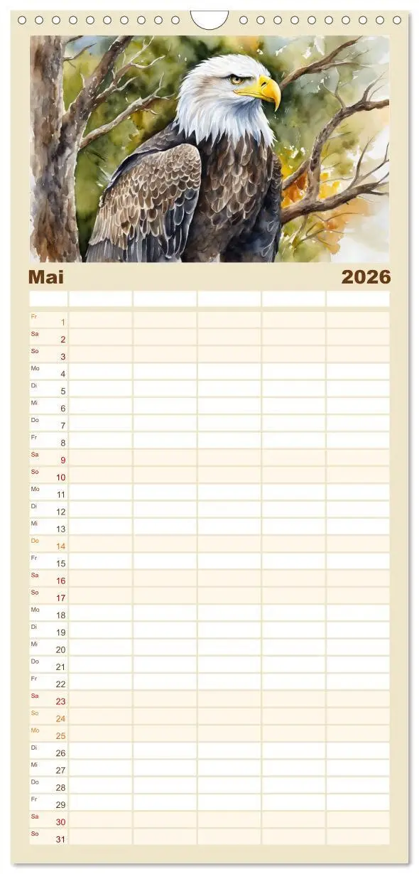 Bild: 9783516492699 | Familienplaner 2026 - Weißkopfseeadler - Majestätische Vögel mit 5...