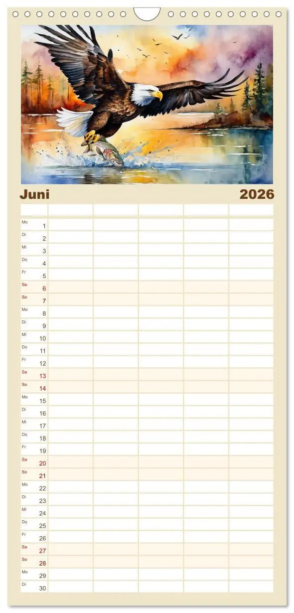 Bild: 9783516492699 | Familienplaner 2026 - Weißkopfseeadler - Majestätische Vögel mit 5...