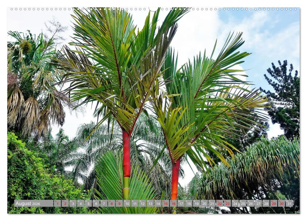Bild: 9783457912799 | Auf Inseltour im Indischen Ozean (Wandkalender 2026 DIN A2 quer),...