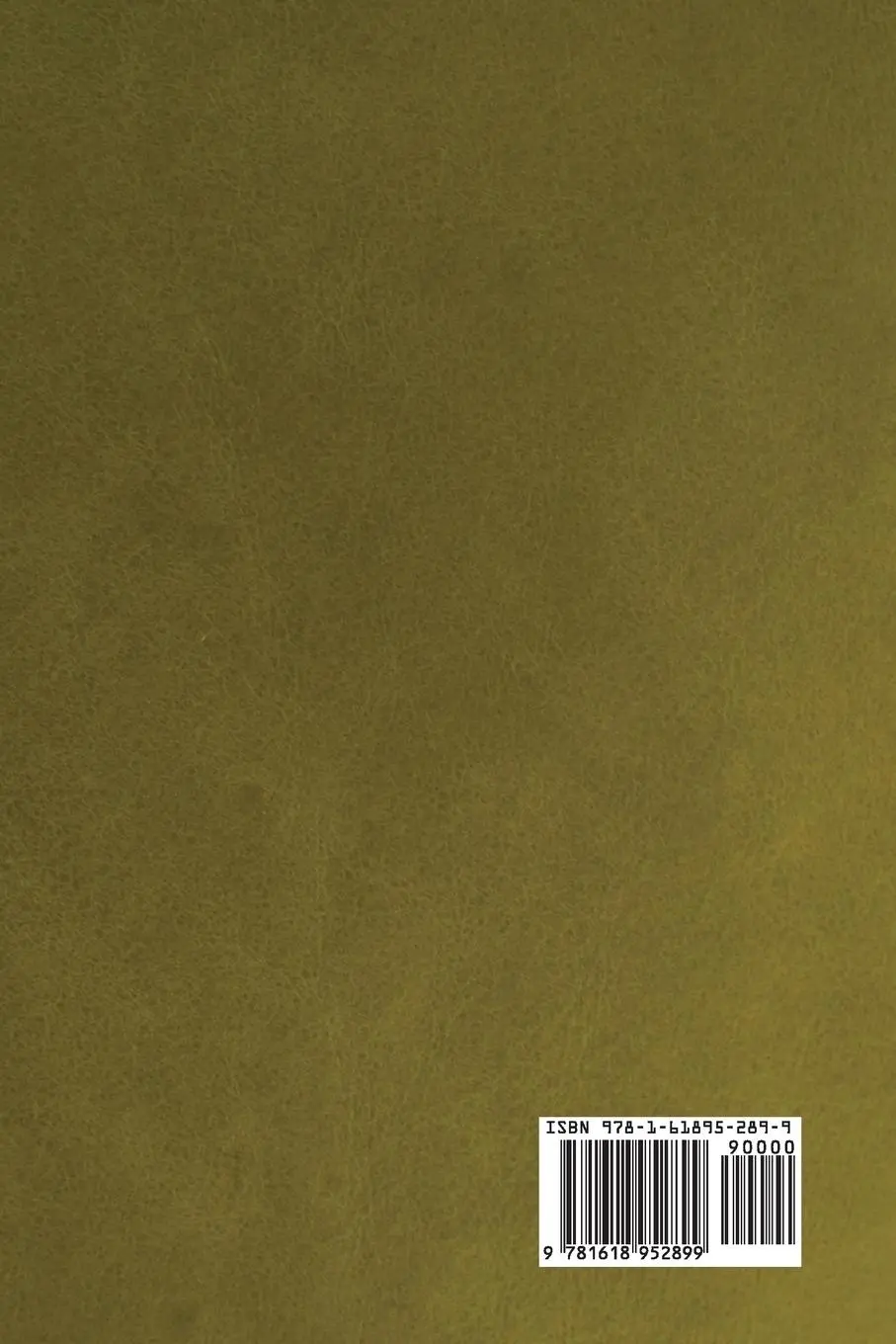 Rückseite: 9781618952899 | A Clergyman's Daughter | George Orwell | Taschenbuch | Englisch | 2018