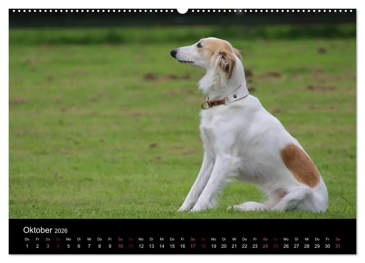 Bild: 9783457762899 | Der Silken Windsprite - ein Seelenhund (hochwertiger Premium...