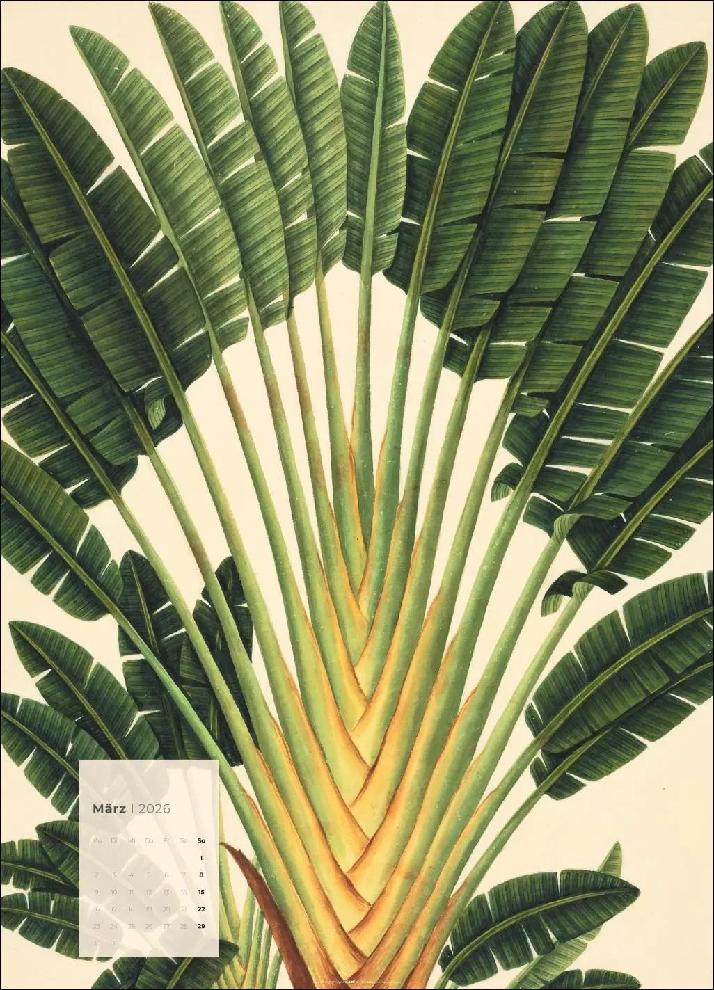 Bild: 9783839902899 | Botanicals Kalender 2026 | Kalender | Spiralbindung | 14 S. | Deutsch